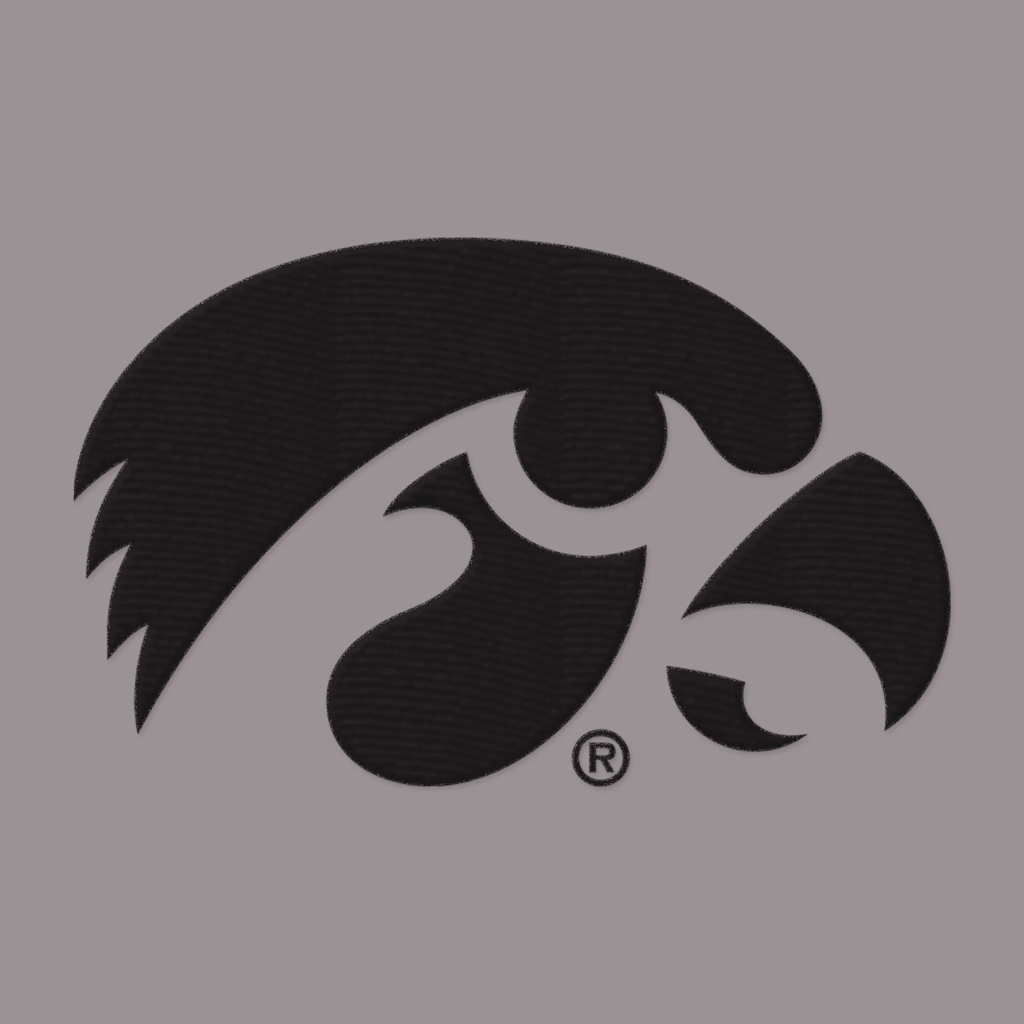 Iowa Hawkeyes Primary Logo Dad Hat - Image 8