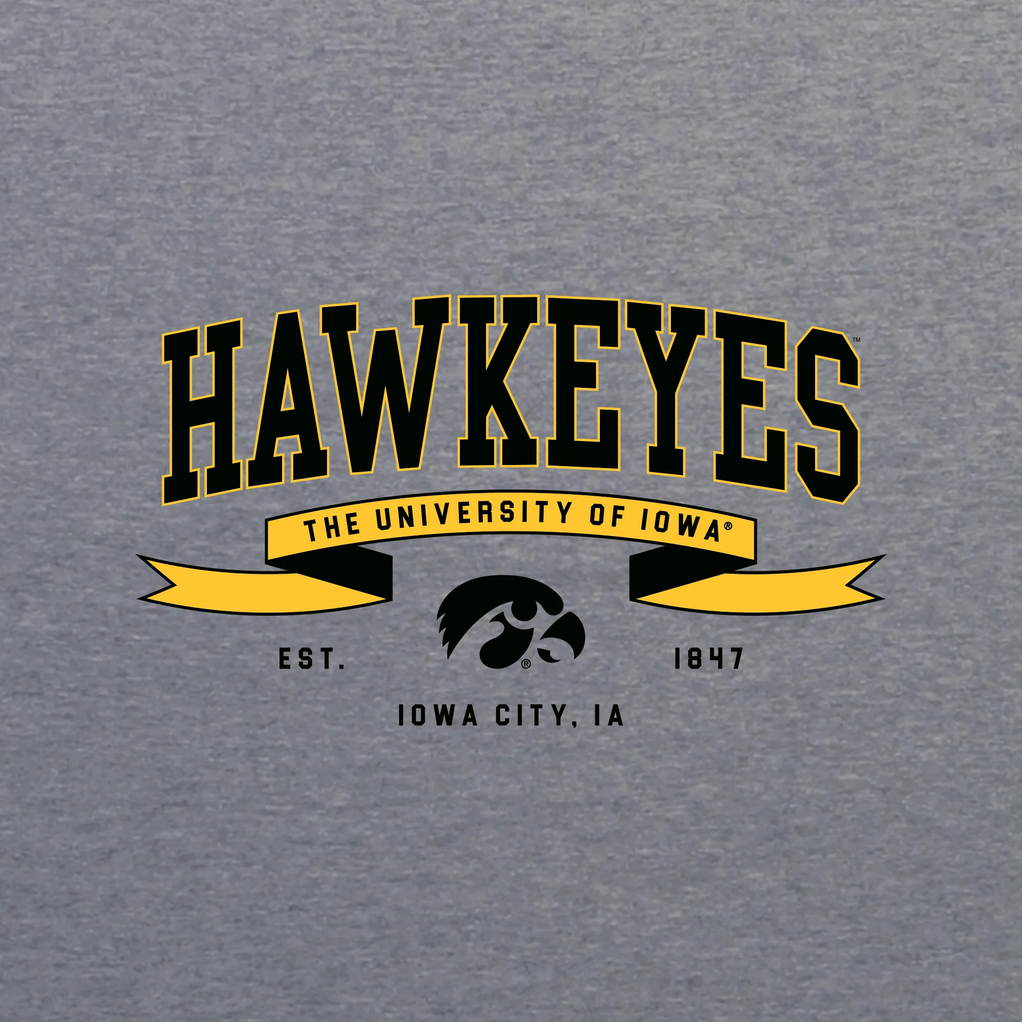 Iowa Ribbon Flight NLA Triblend T-Shirt - Premium Heather - Image 2