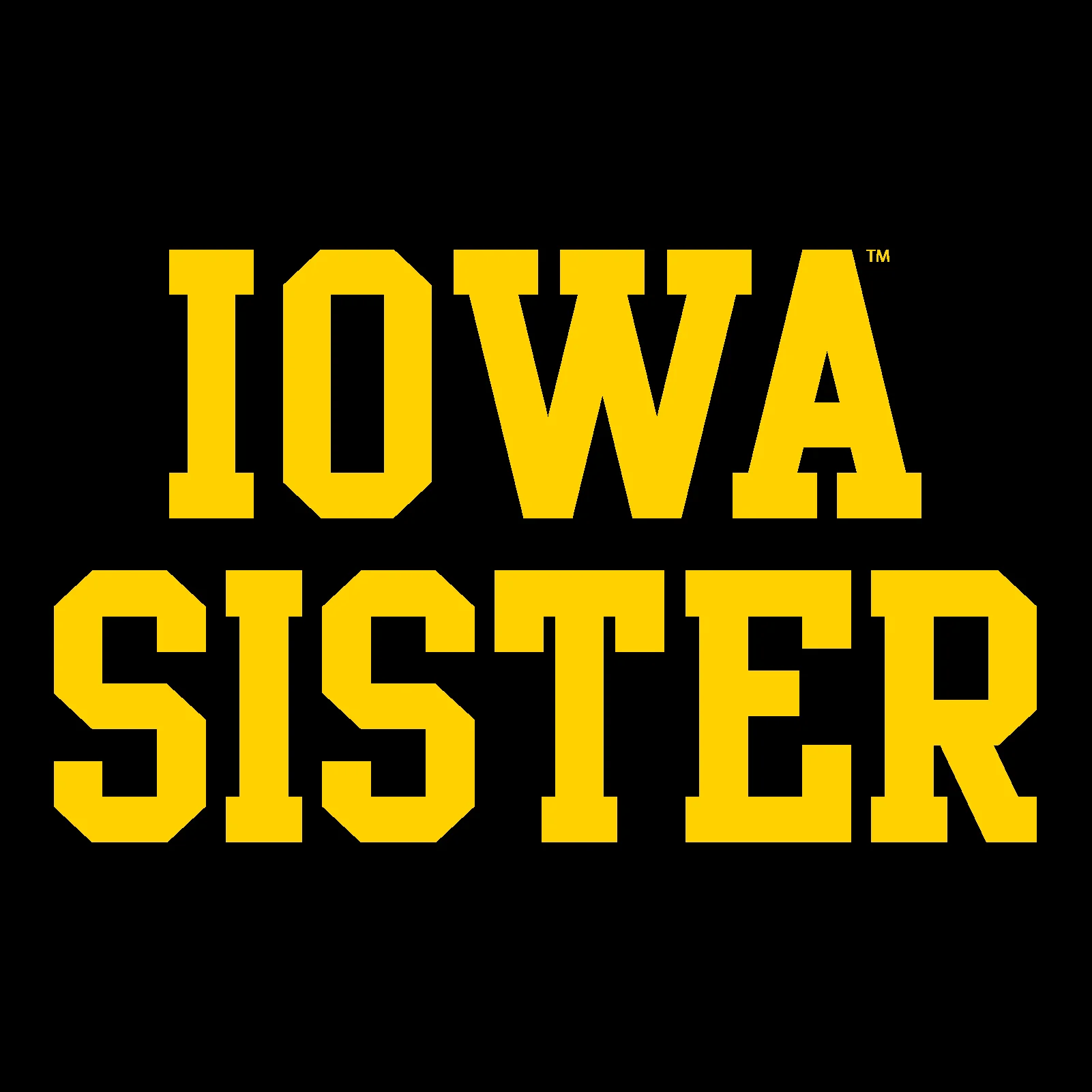 University of Iowa Hawkeyes Basic Block Sister Short Sleeve T Shirt - Black - Image 2