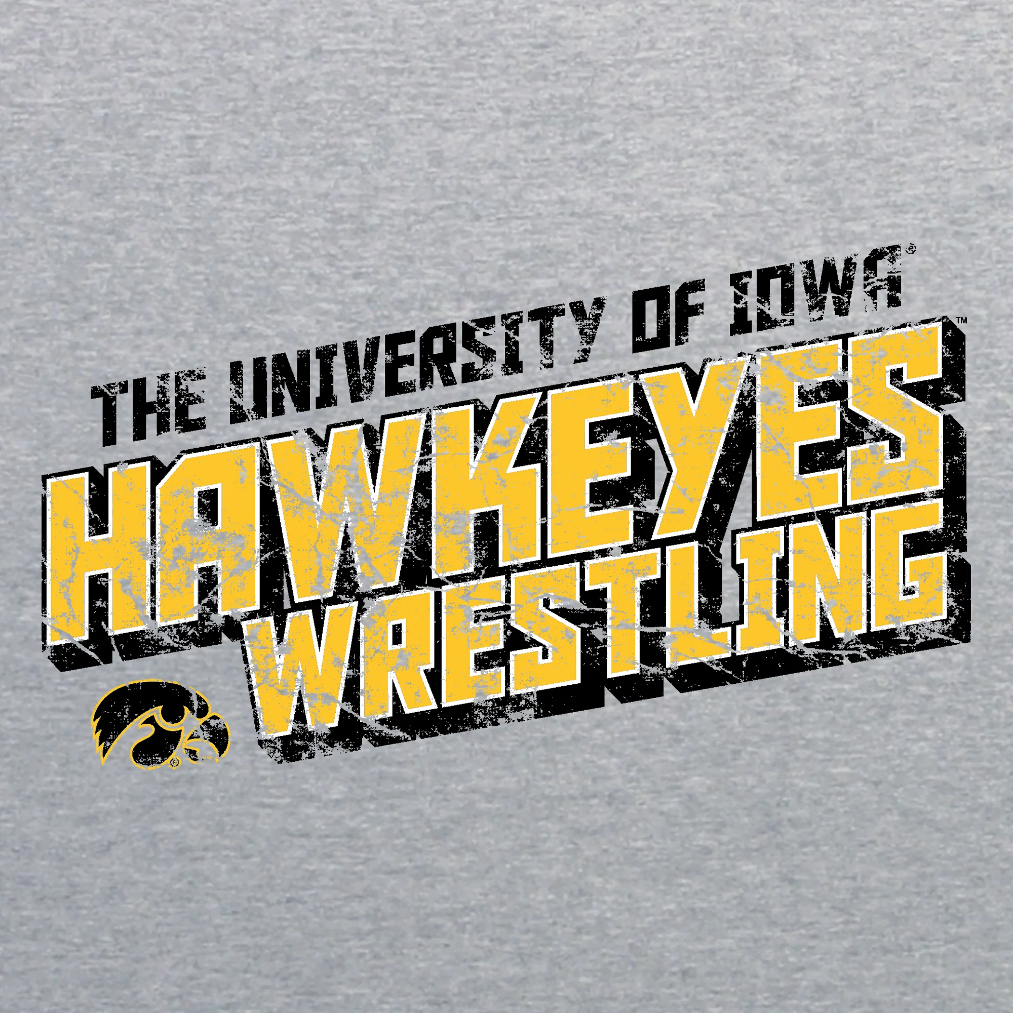 Iowa Wrestling Tech Hoodie - Sport Grey - Image 2