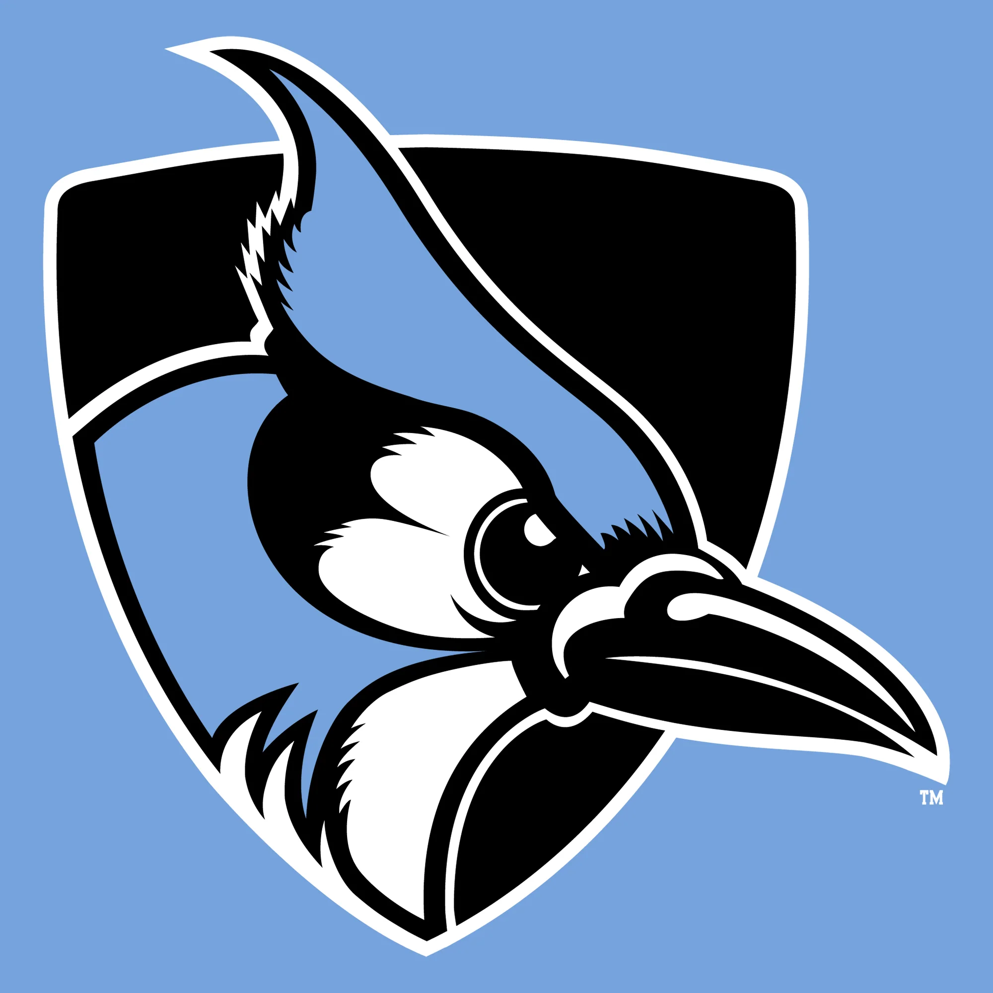Johns Hopkins Blue Jays Primary Logo Youth T-Shirt - Carolina Blue - Image 2
