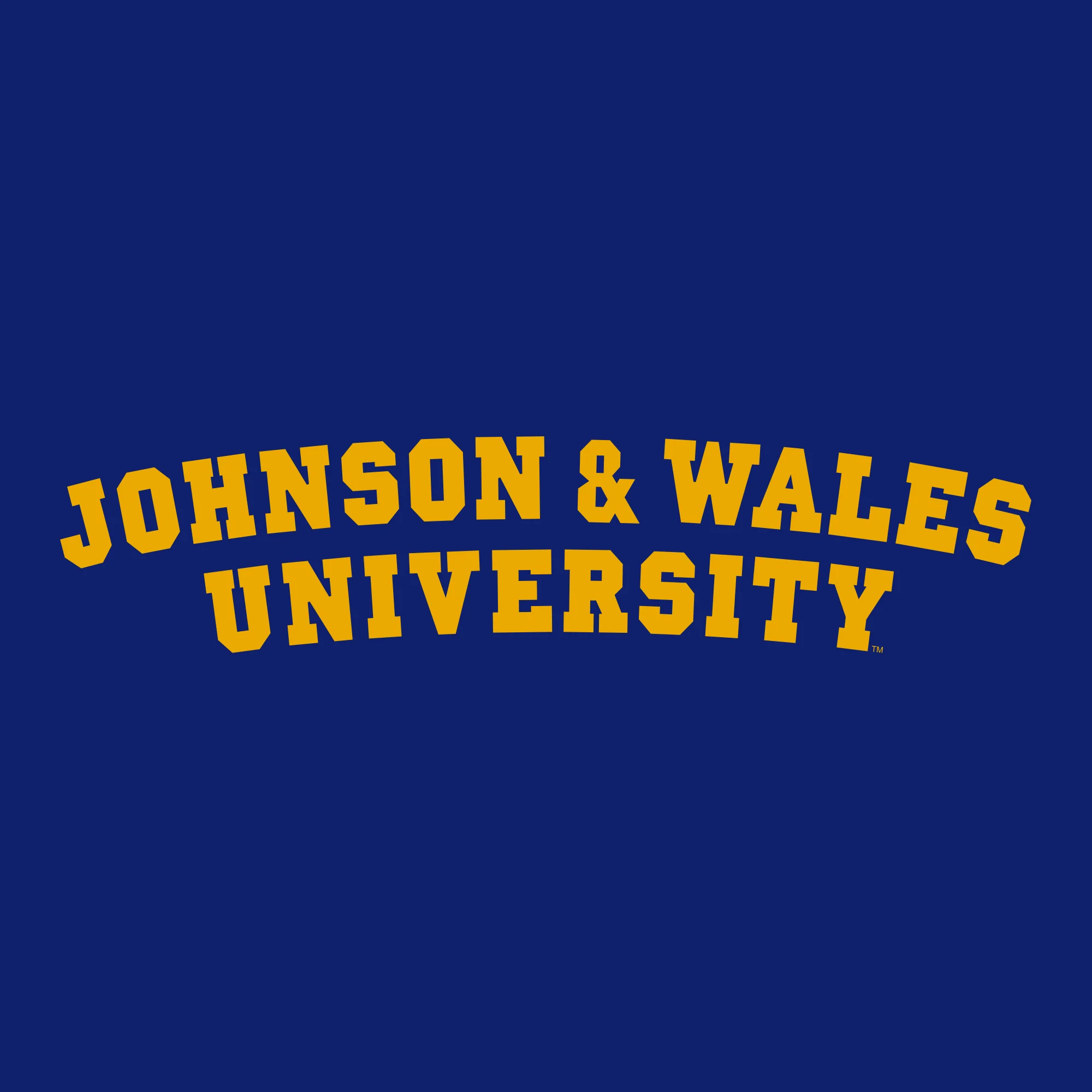 Johnson & Wales University Wildcats Basic Block Youth Short Sleeve T Shirt - Cobalt - Image 2