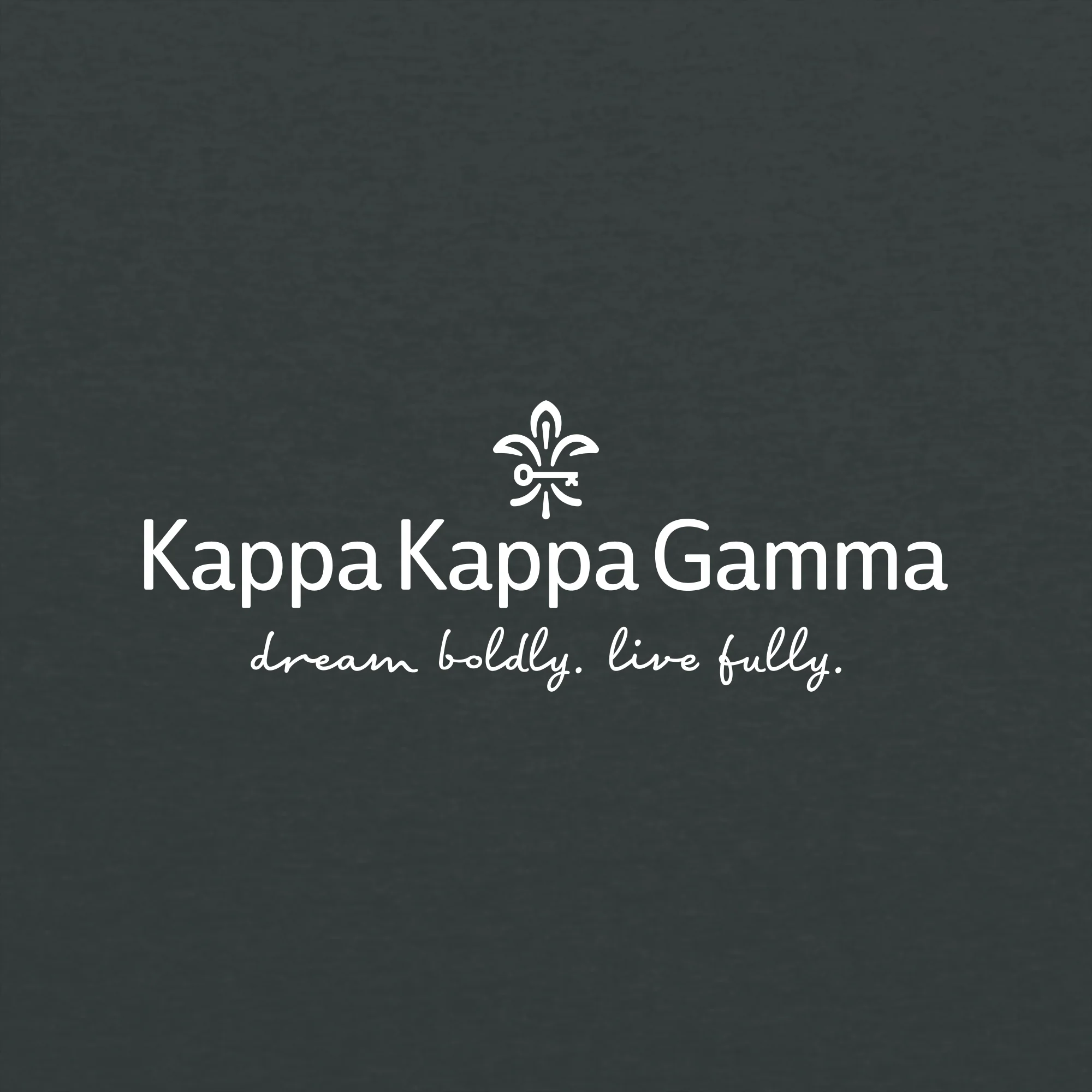 Kappa Kappa Gamma Primary Wordmark Hoodie - Dark Heather - Image 2
