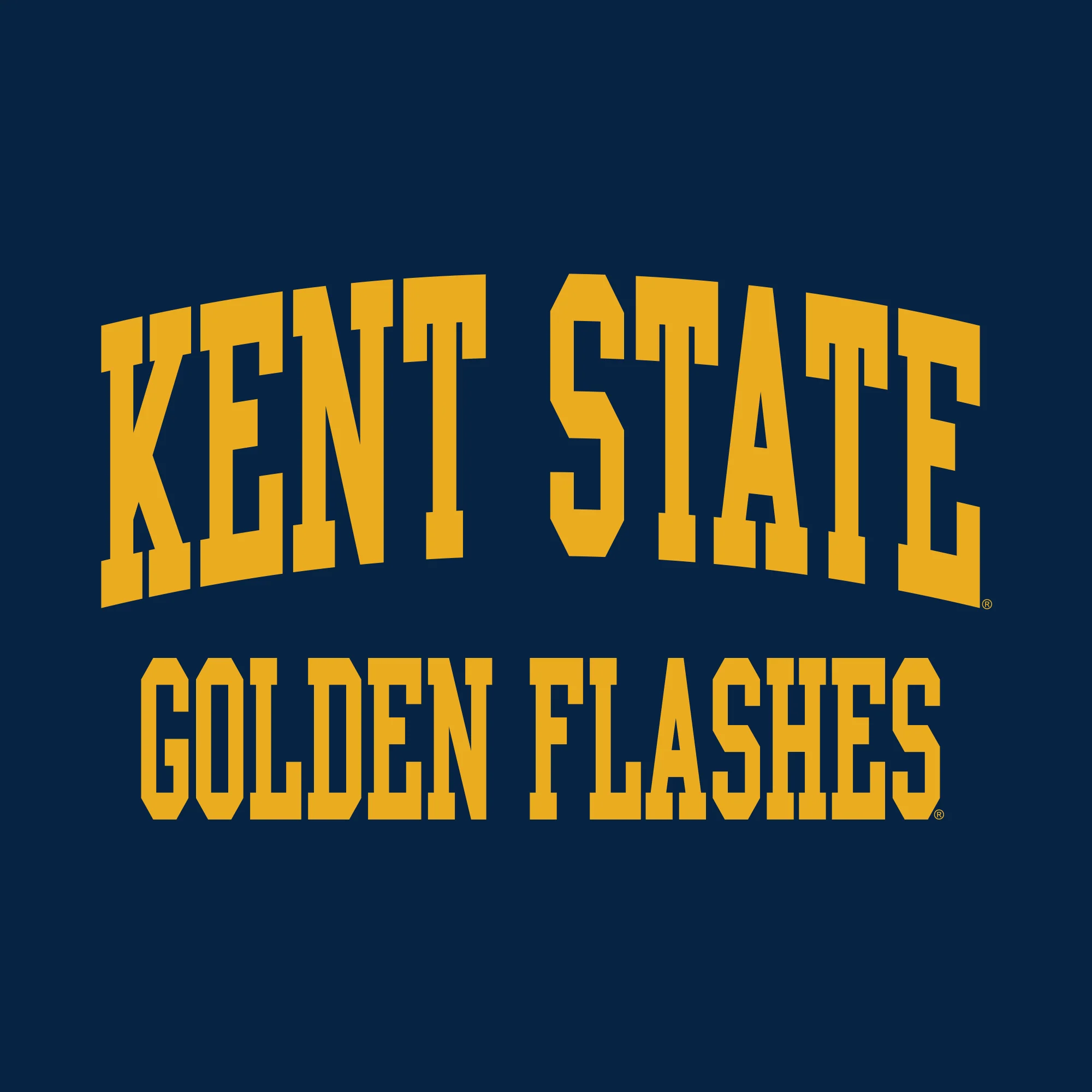 Kent State University Golden Flashes Front Back Print Heavy Blend Hoodie - Navy - Image 2