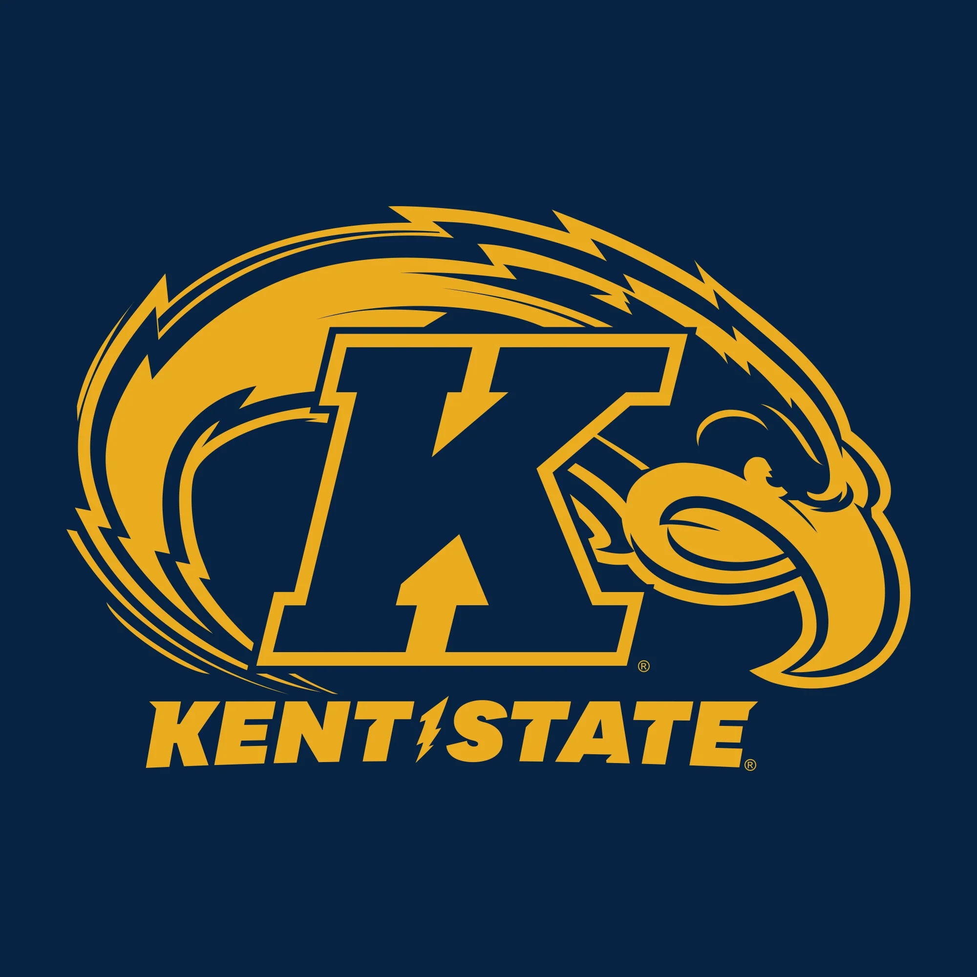 Kent State University Golden Flashes Front Back Print Heavy Blend Hoodie - Navy - Image 4