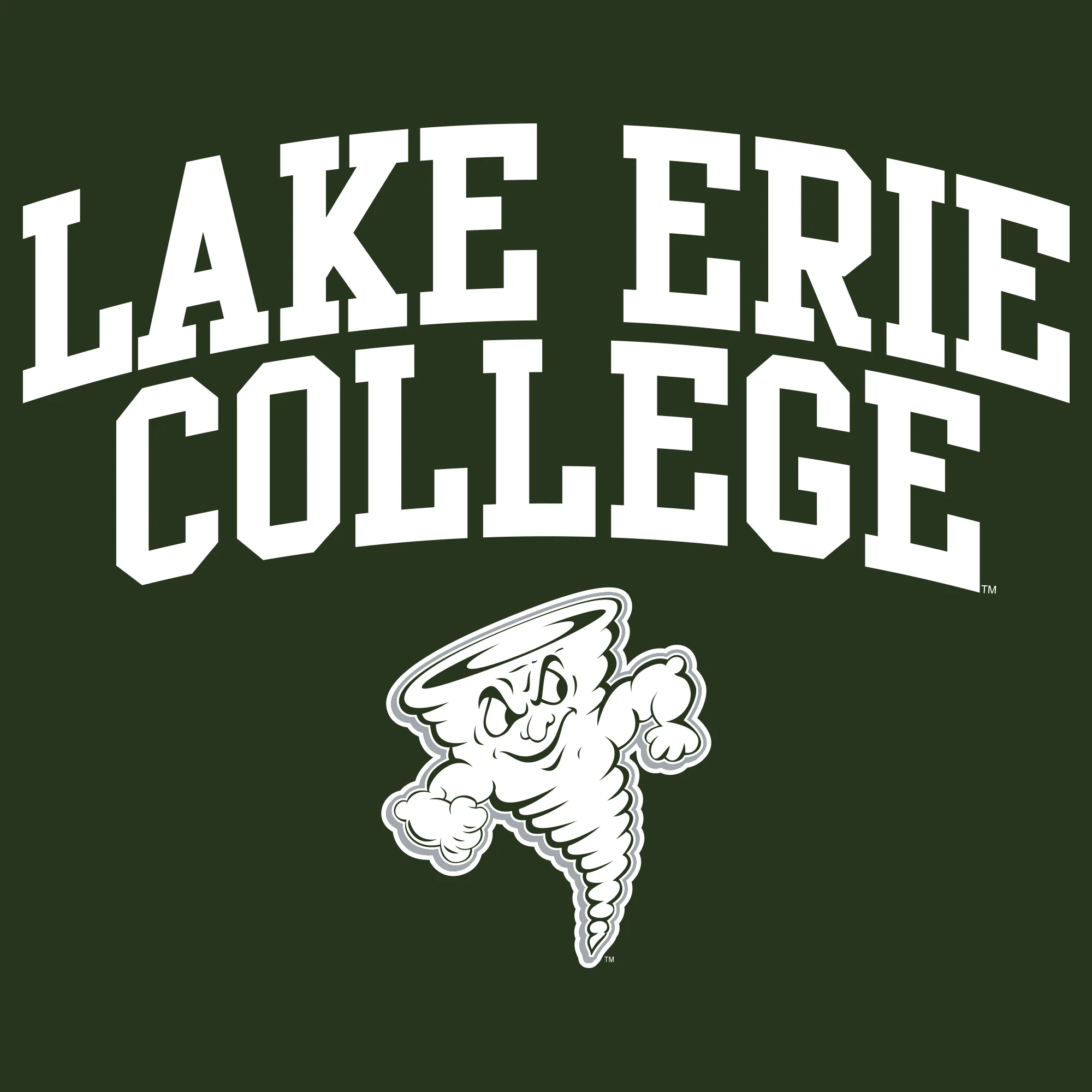Lake Erie College Storm Arch Logo Heavy Blend Hoodie - Forest - Image 2