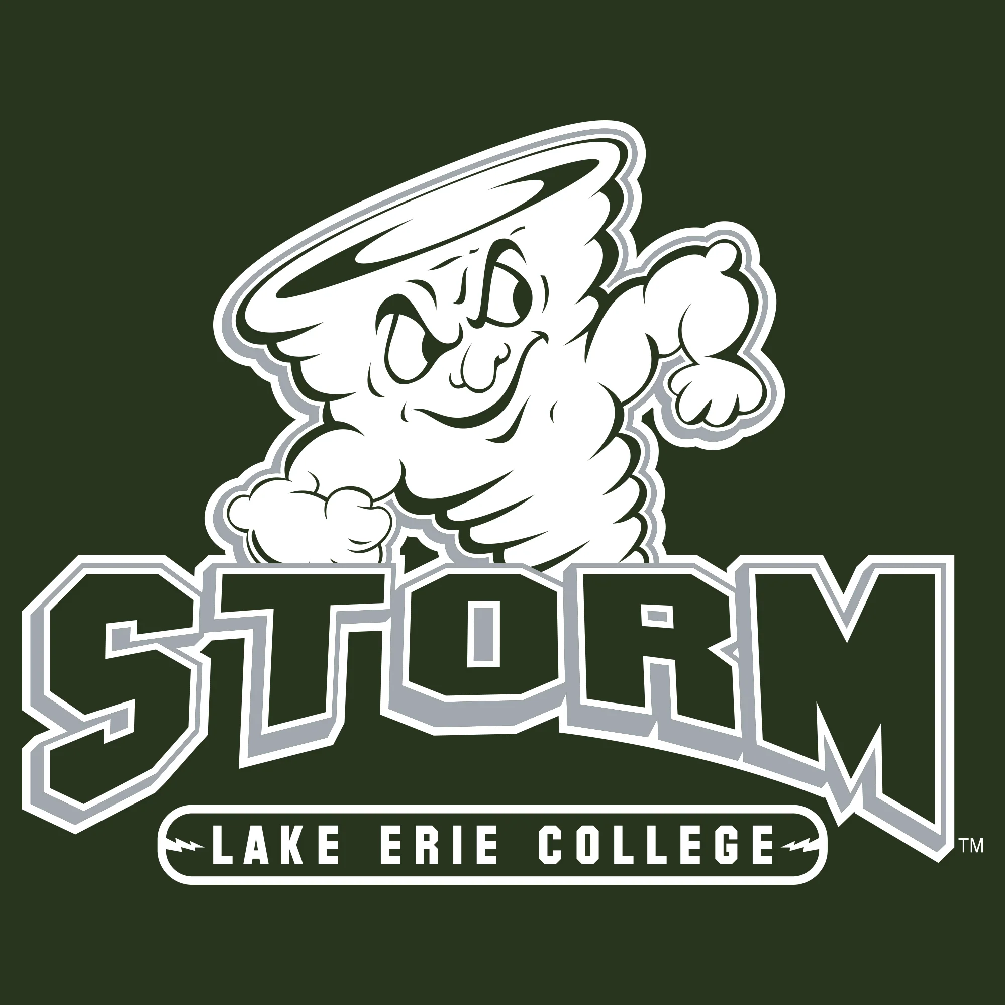 Lake Erie College Storm Primary Logo Heavy Blend Hoodie - Forest - Image 2