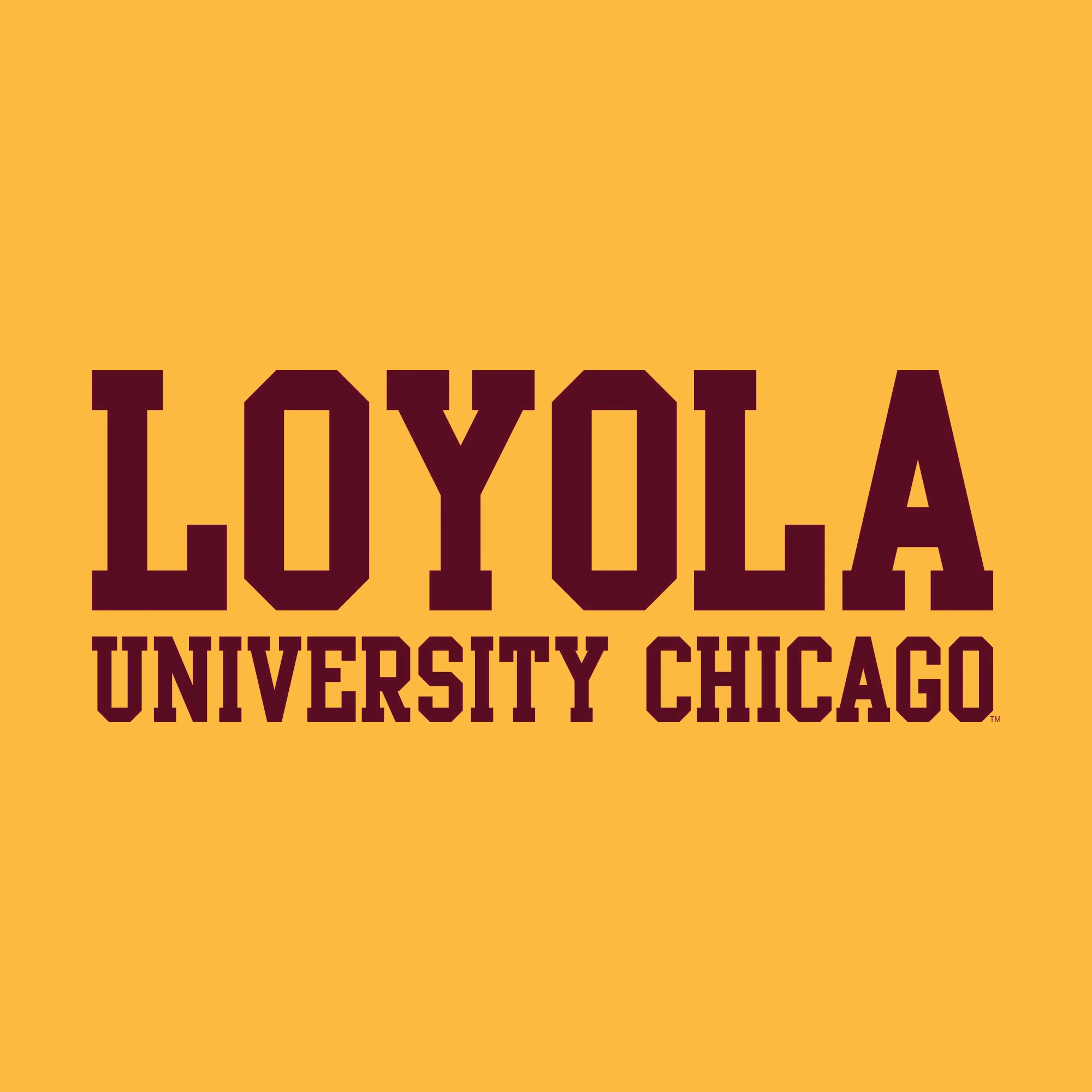 Loyola Chicago Ramblers Basic Block Hoodie - Gold - Image 2