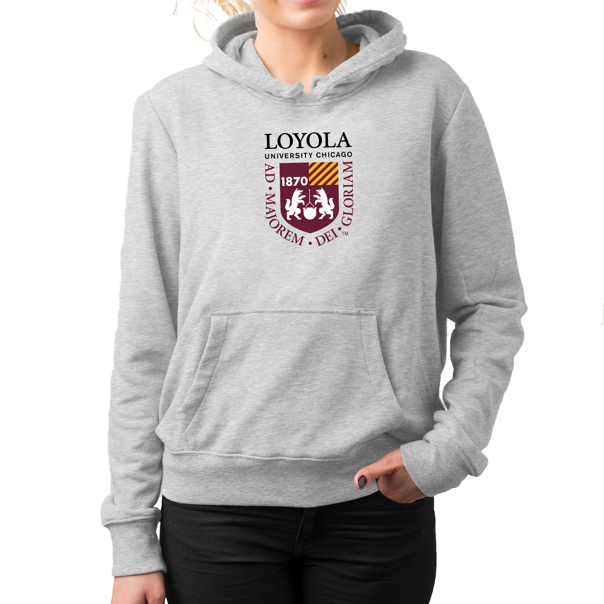 Loyola University Chicago Ramblers Institutional Logo Hoodie - Sport Grey - Image 4