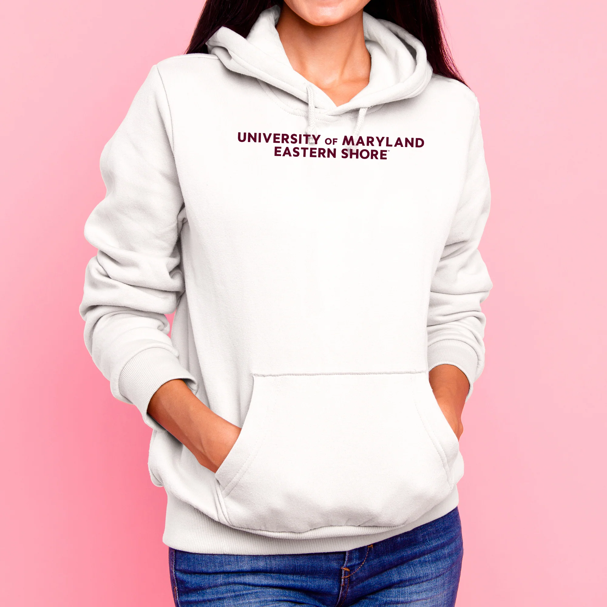 Maryland Eastern Shore Hawks Basic Block Hoodie - White - Image 4