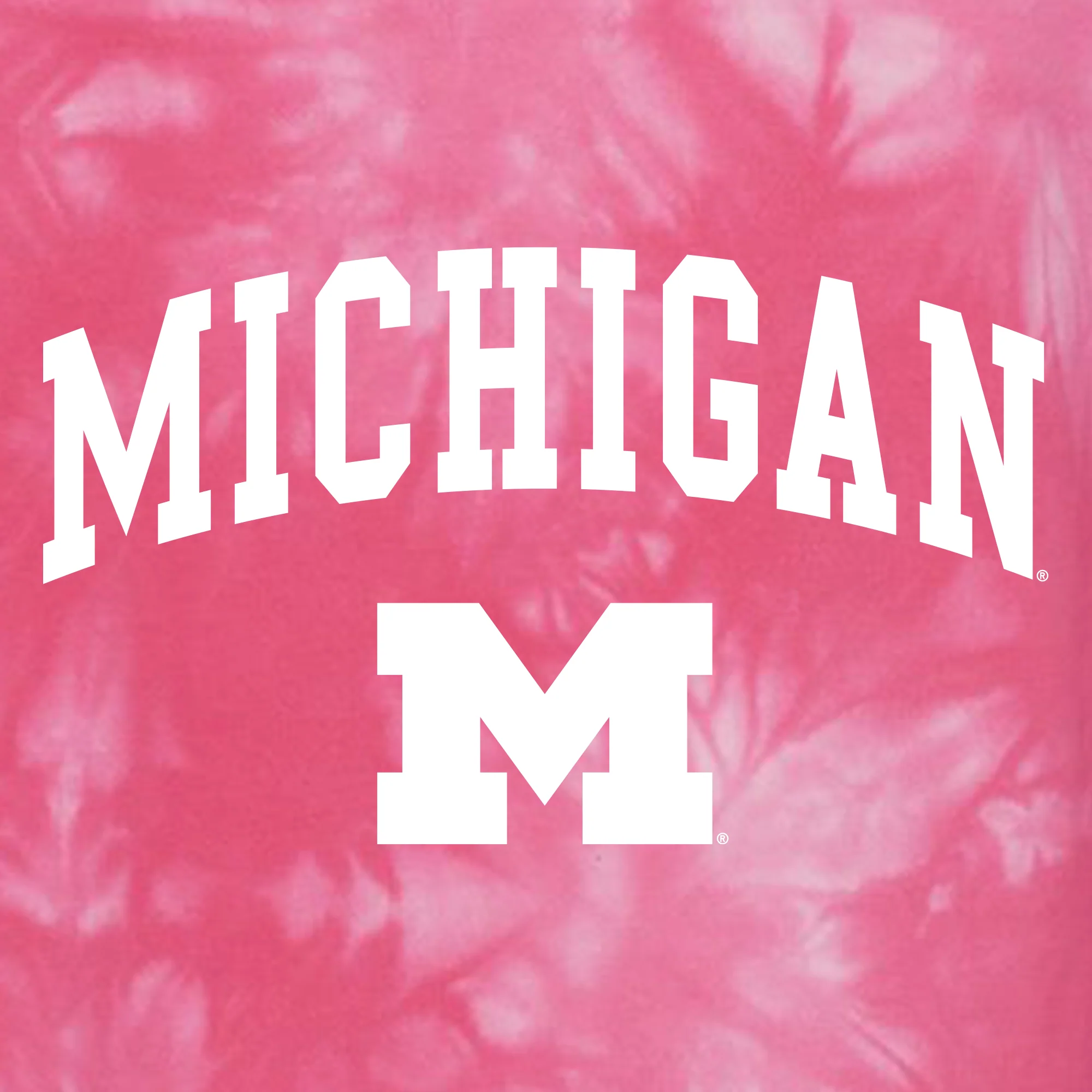 Michigan Arch Logo Midweight Tie-Dyed Hoodie - Tie Dye Pink - Image 2