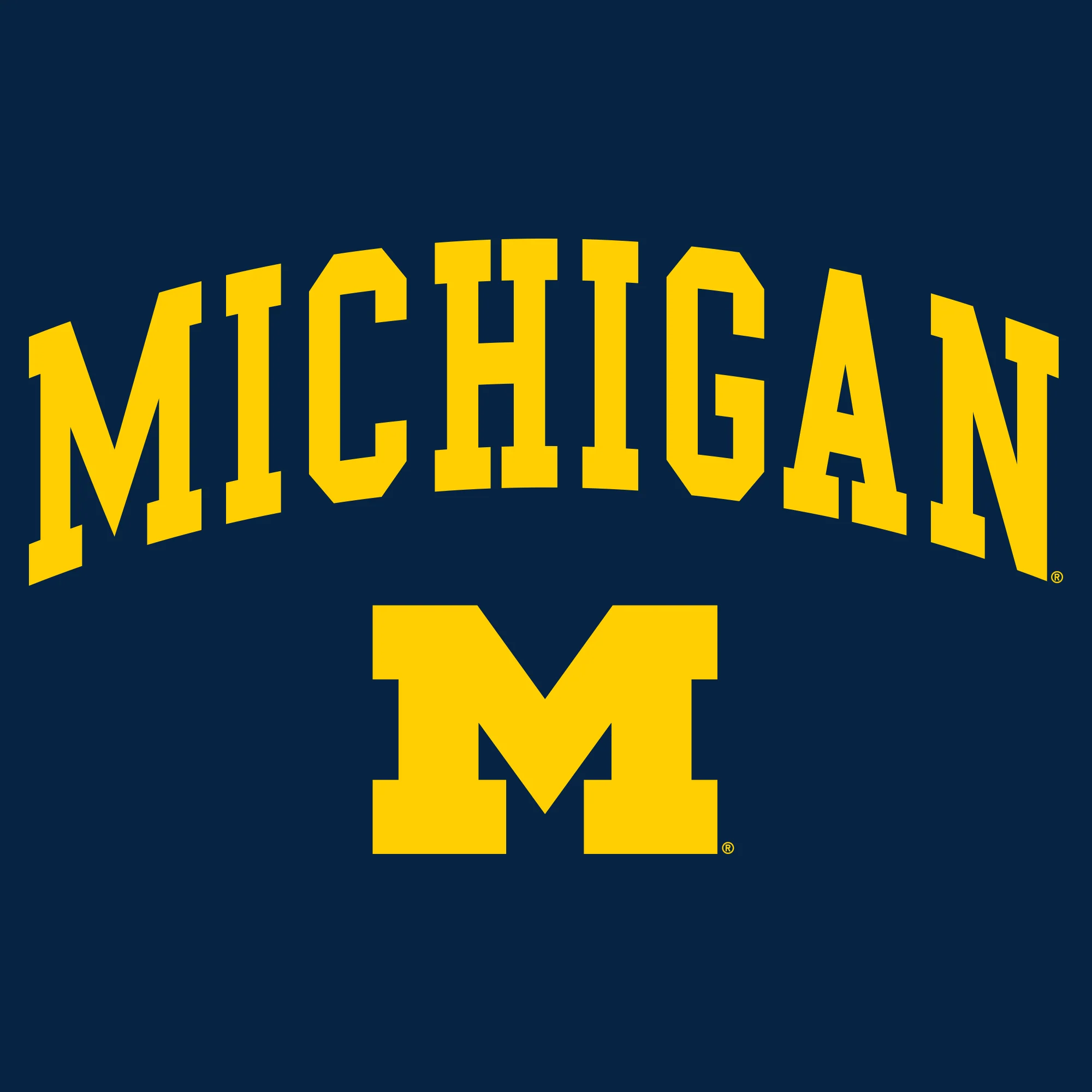 Michigan Arch Logo Tall Crewneck - Image 3