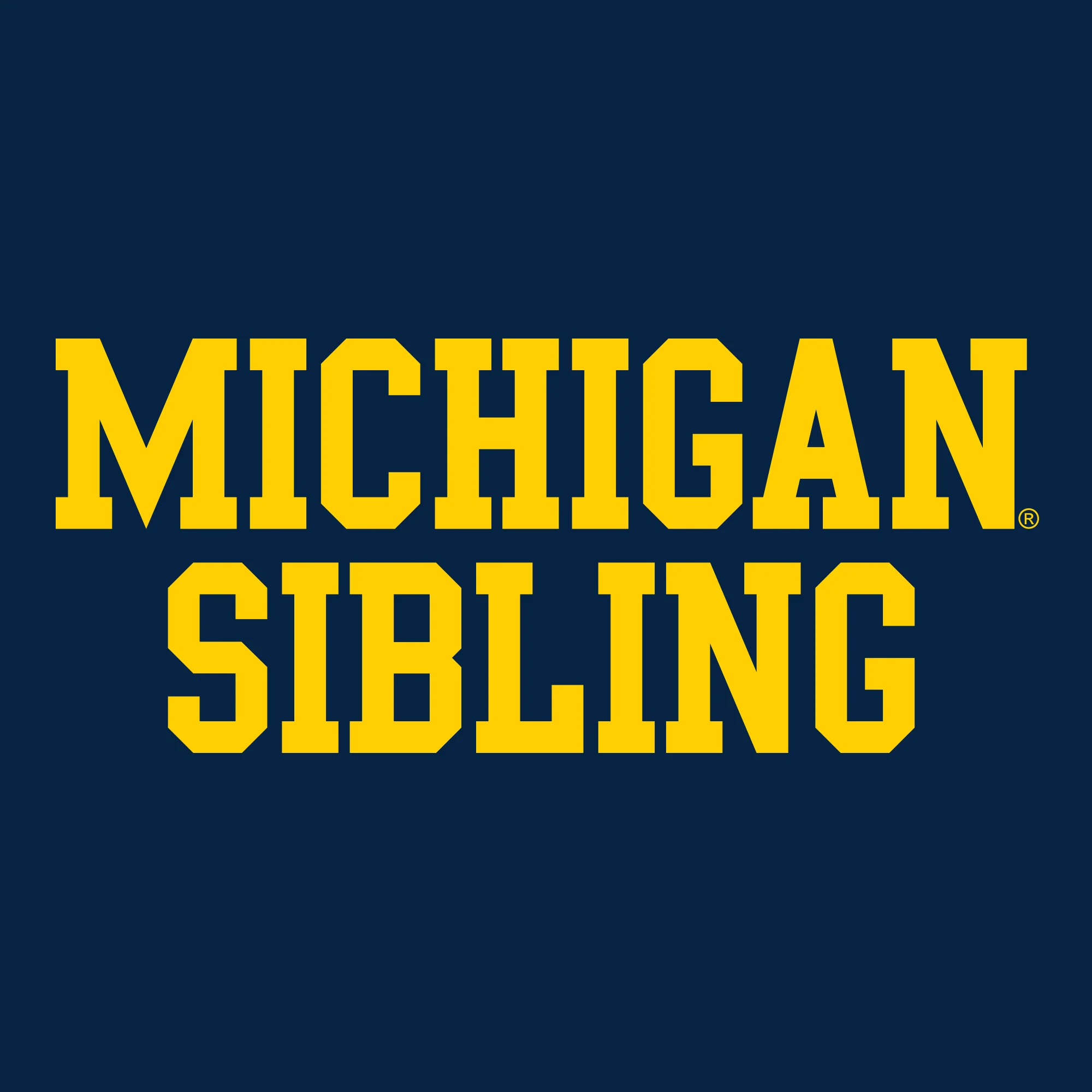 Michigan Basic Block Sibling Toddler T-Shirt - Navy - Image 2