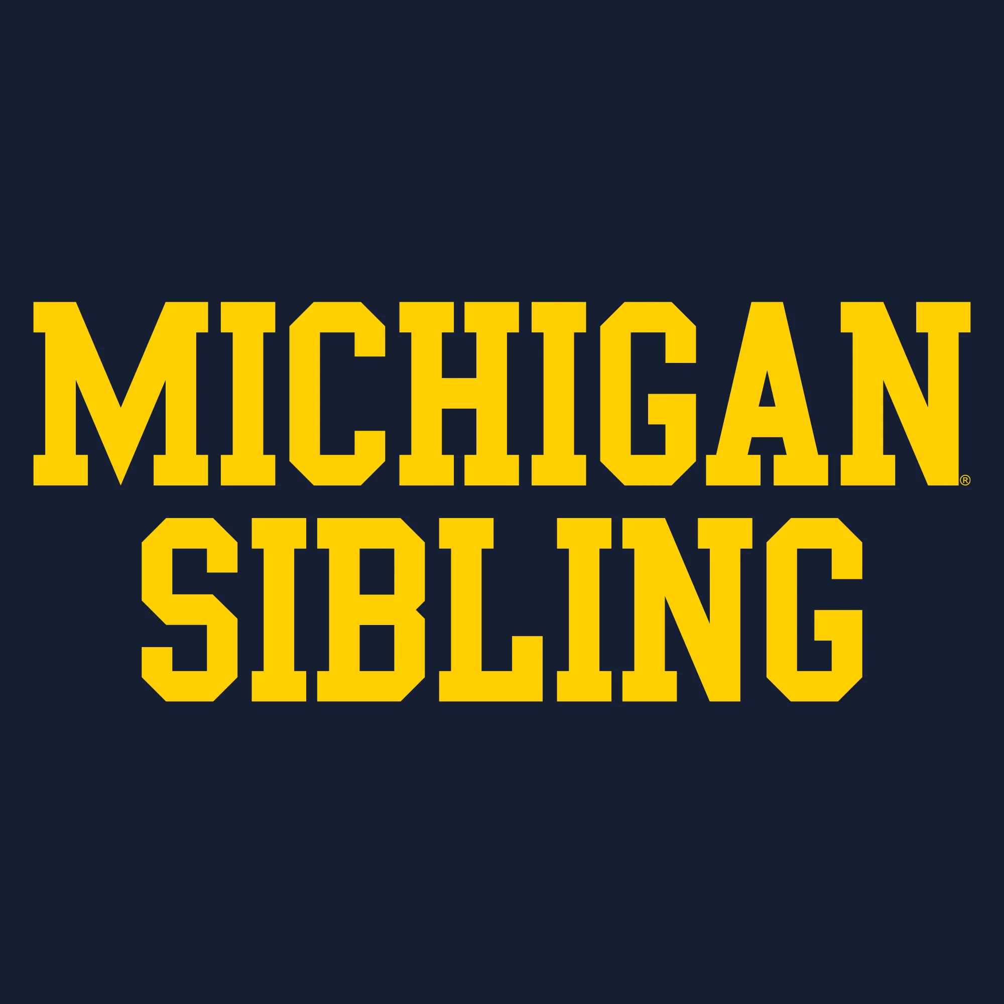 Michigan Basic Block Sibling T-Shirt - Navy - Image 2
