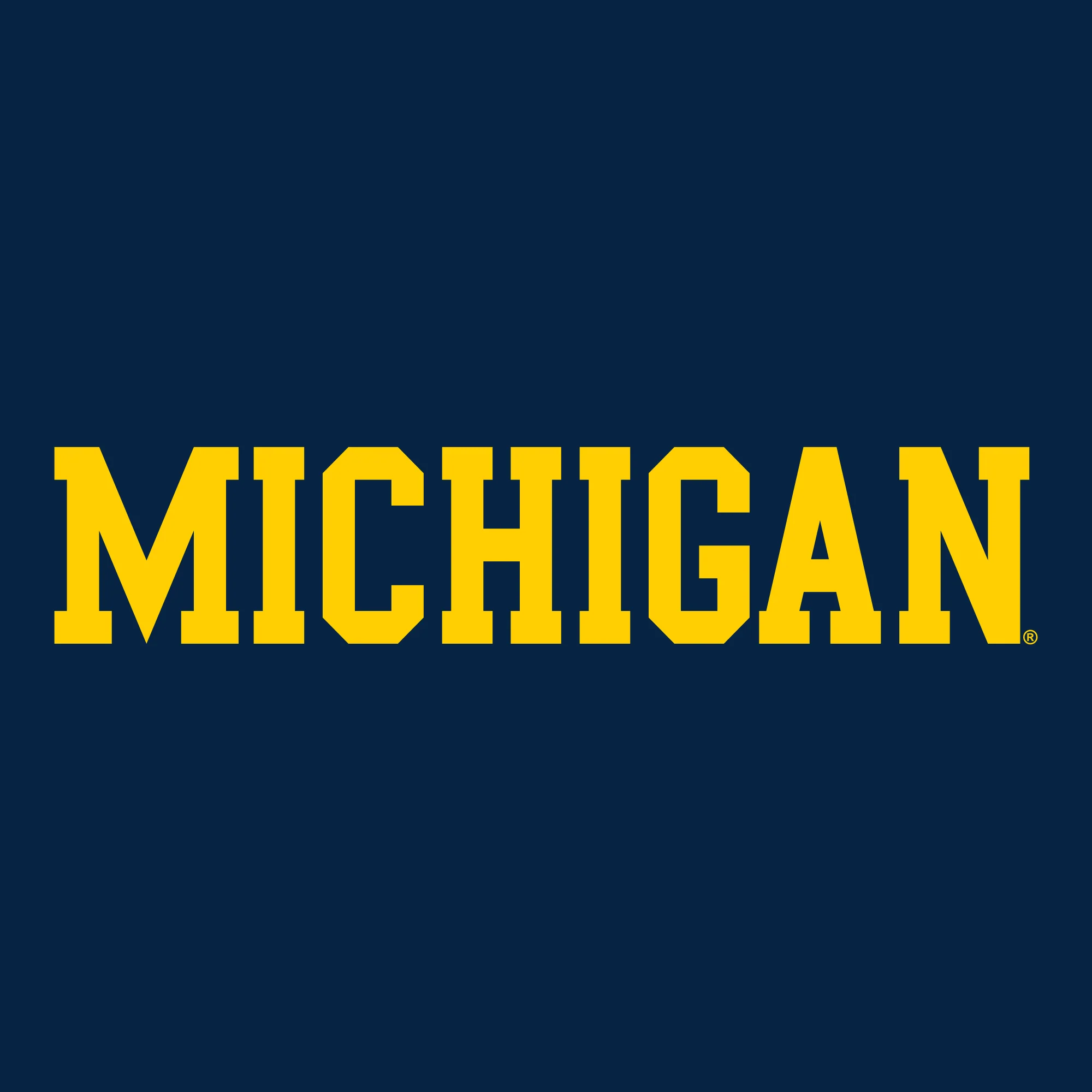 Basic Block University of Michigan Youth Basic Cotton Hoodie - Navy - Image 2