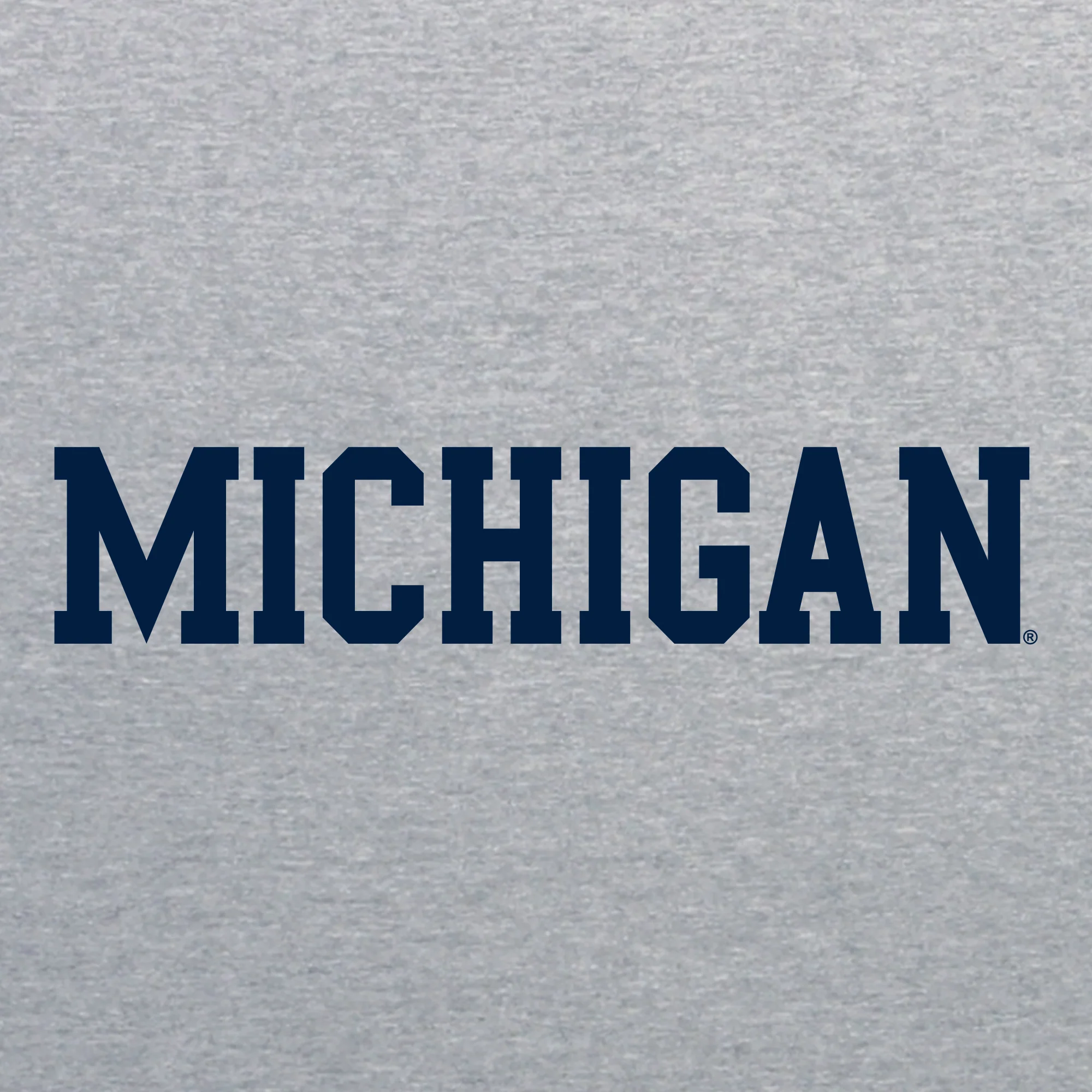 Basic Block University of Michigan Youth Basic Cotton Hoodie - Sport Grey - Image 2