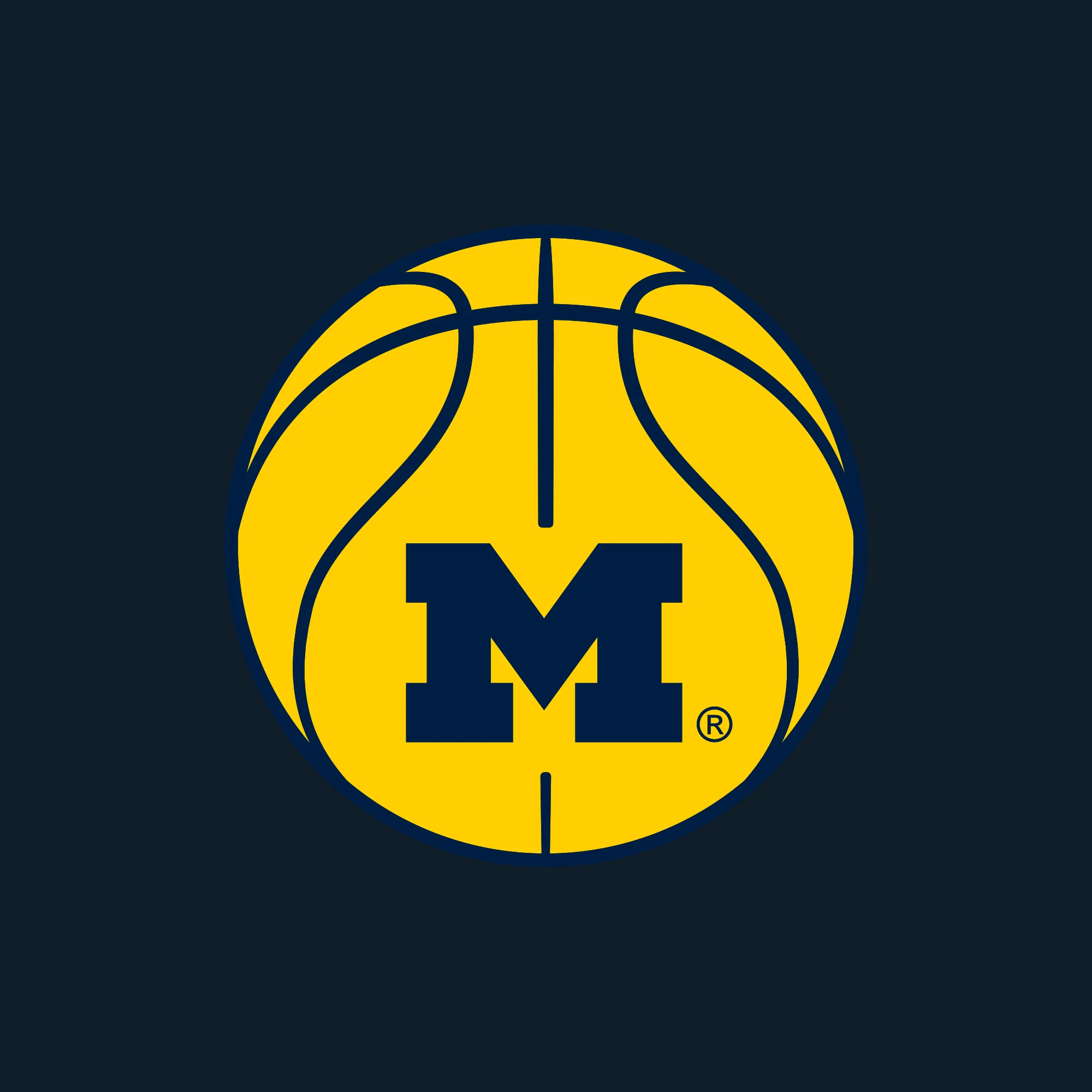 Michigan Basketball Outline EMB Dad Hat - Image 2