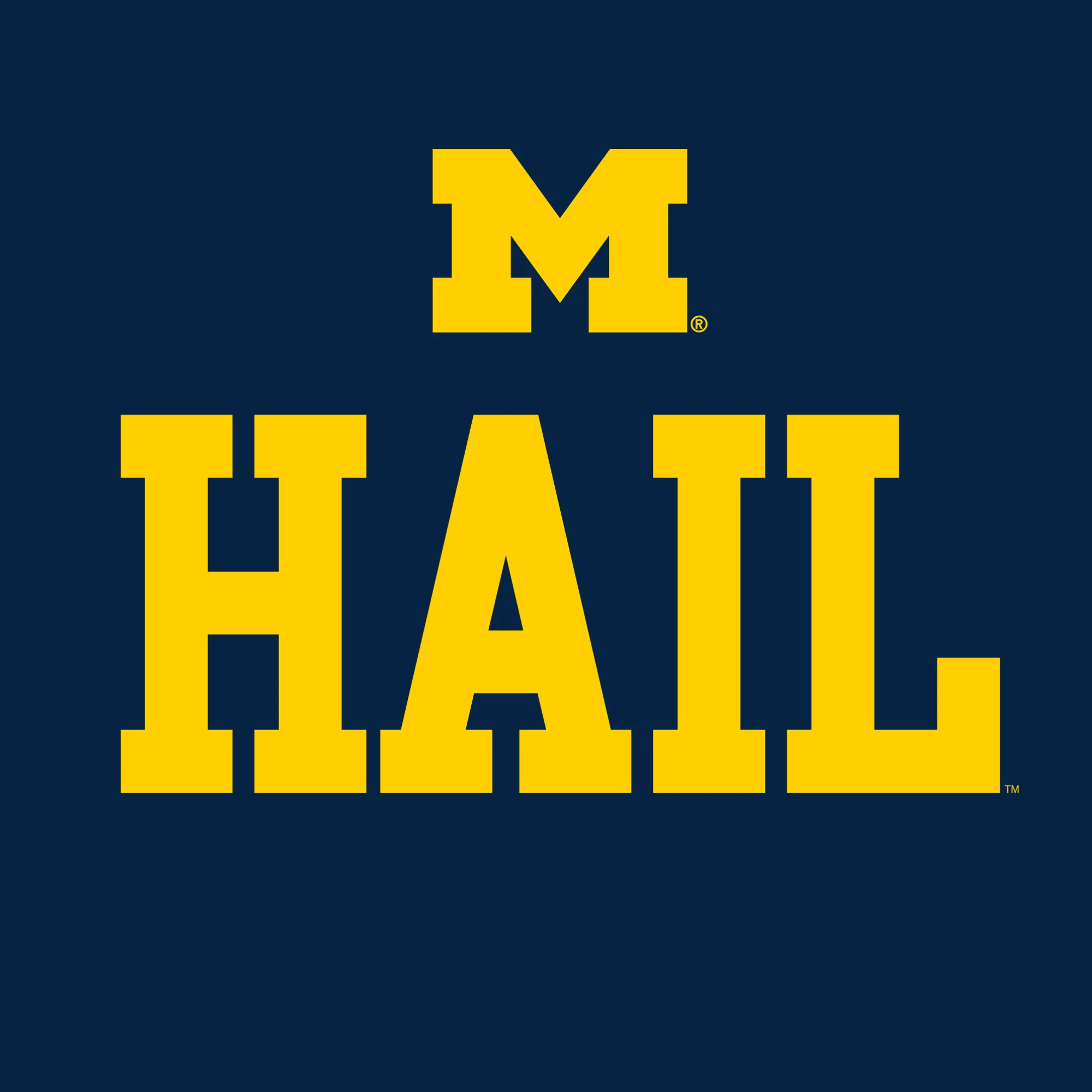 Michigan Block M Hail T-Shirt - Navy - Image 2