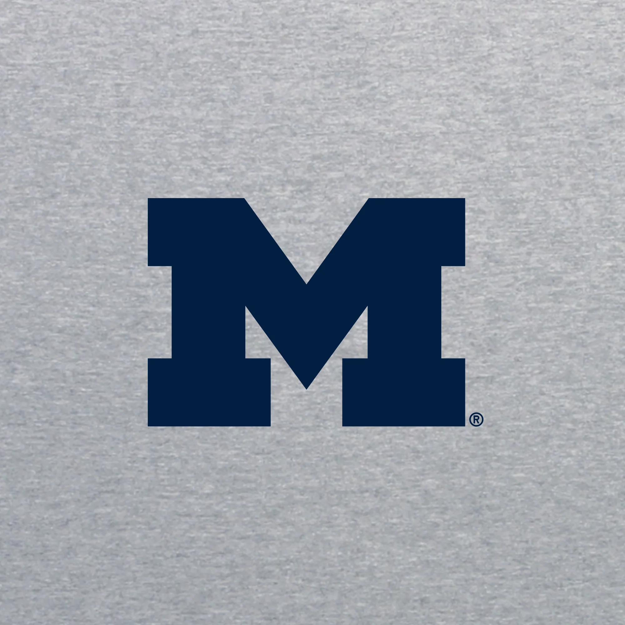 Michigan Block M JA BTB 1/4-Zip Sweatshirt - Oxford - Image 2