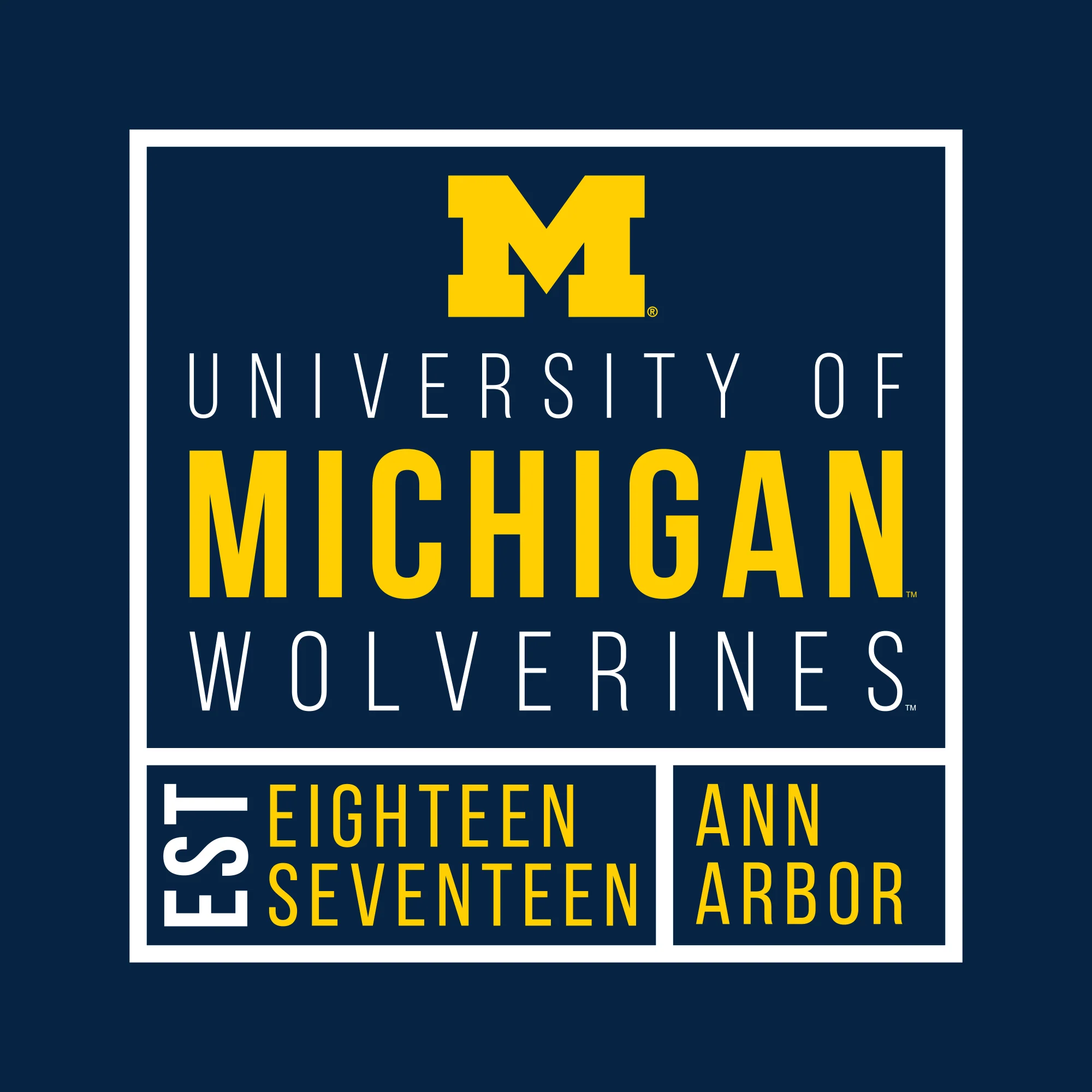 Michigan Box Label T Shirt - Navy - Image 2