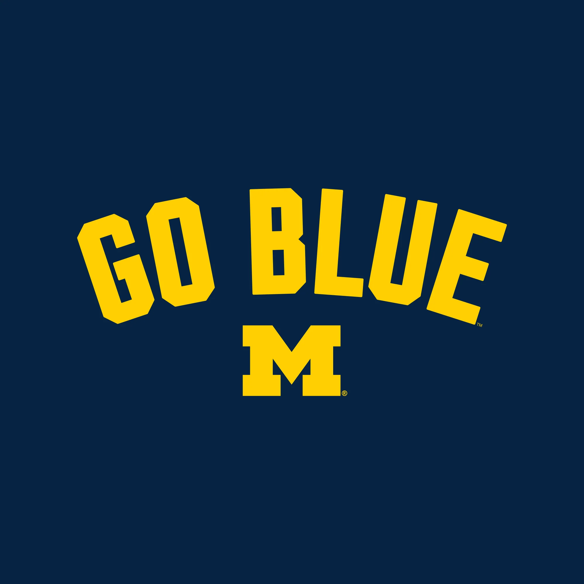 Michigan Go Blue Arc JA BTB Fleece Hoodie - Navy - Image 2