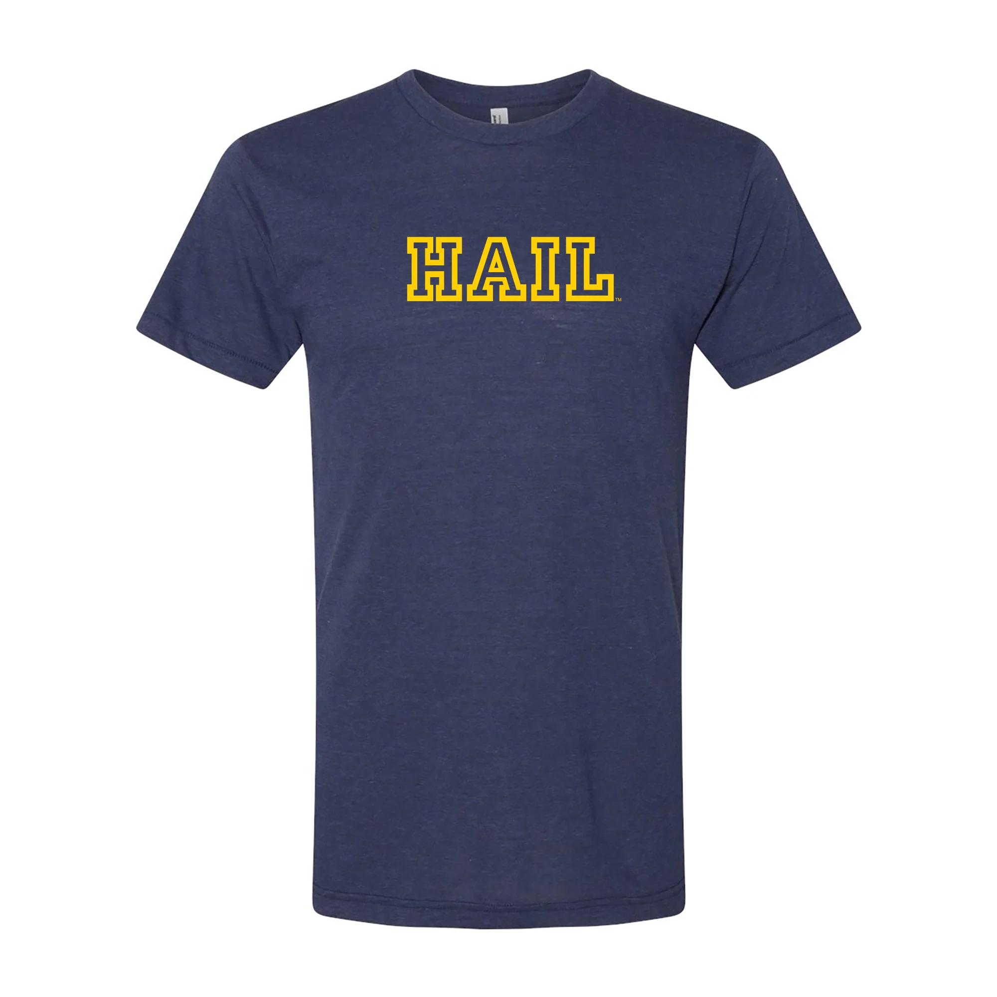 Michigan HAIL Outline AmApp Triblend T-Shirt - Tri-Indigo