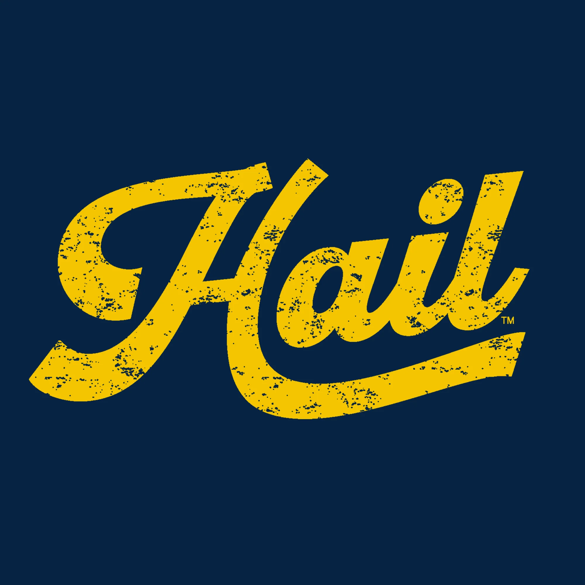 Michigan Hail Script Womens T-Shirt - Navy - Image 2