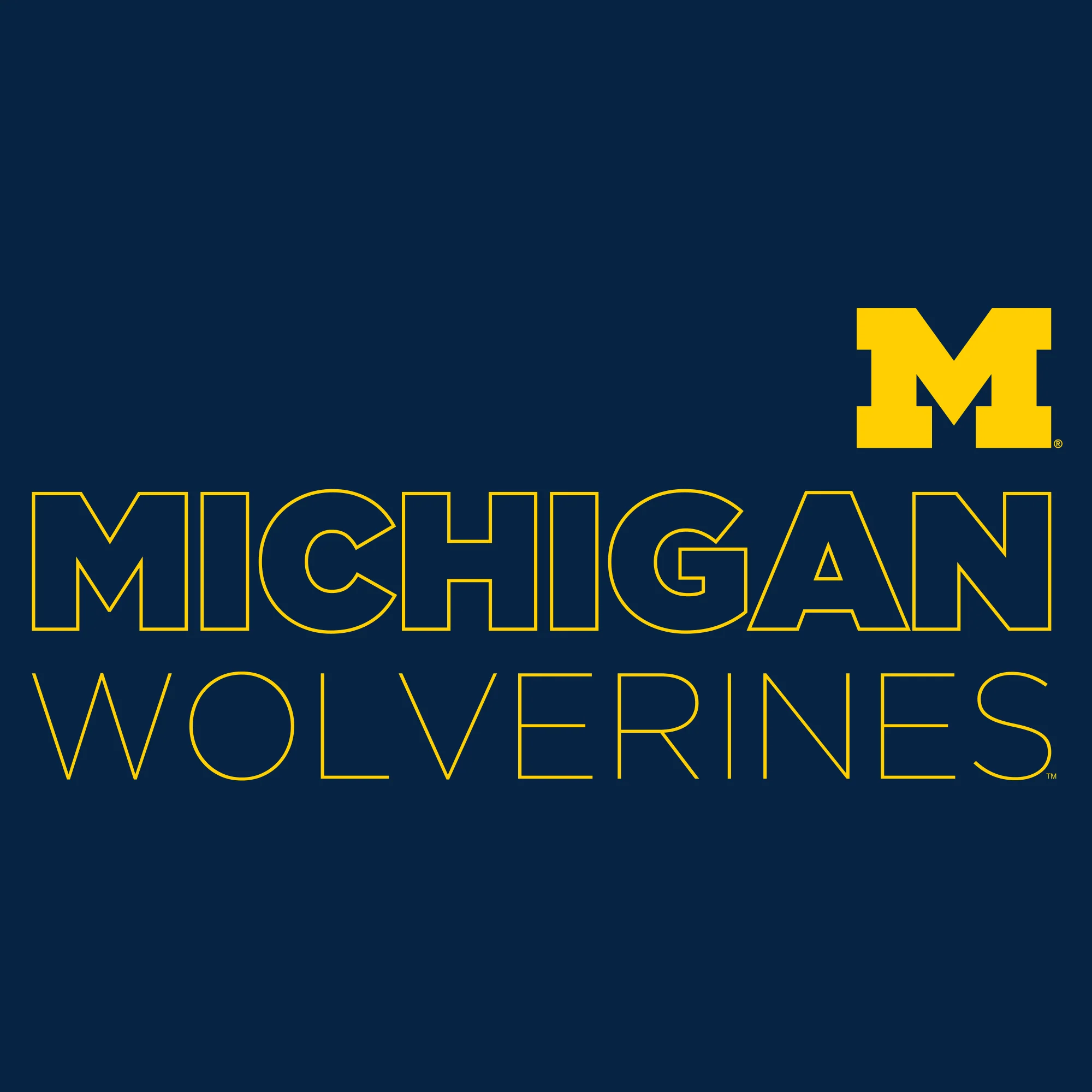 Modern Outline University of Michigan Heavy Blend Hooded Sweatshirt - Navy - Image 2