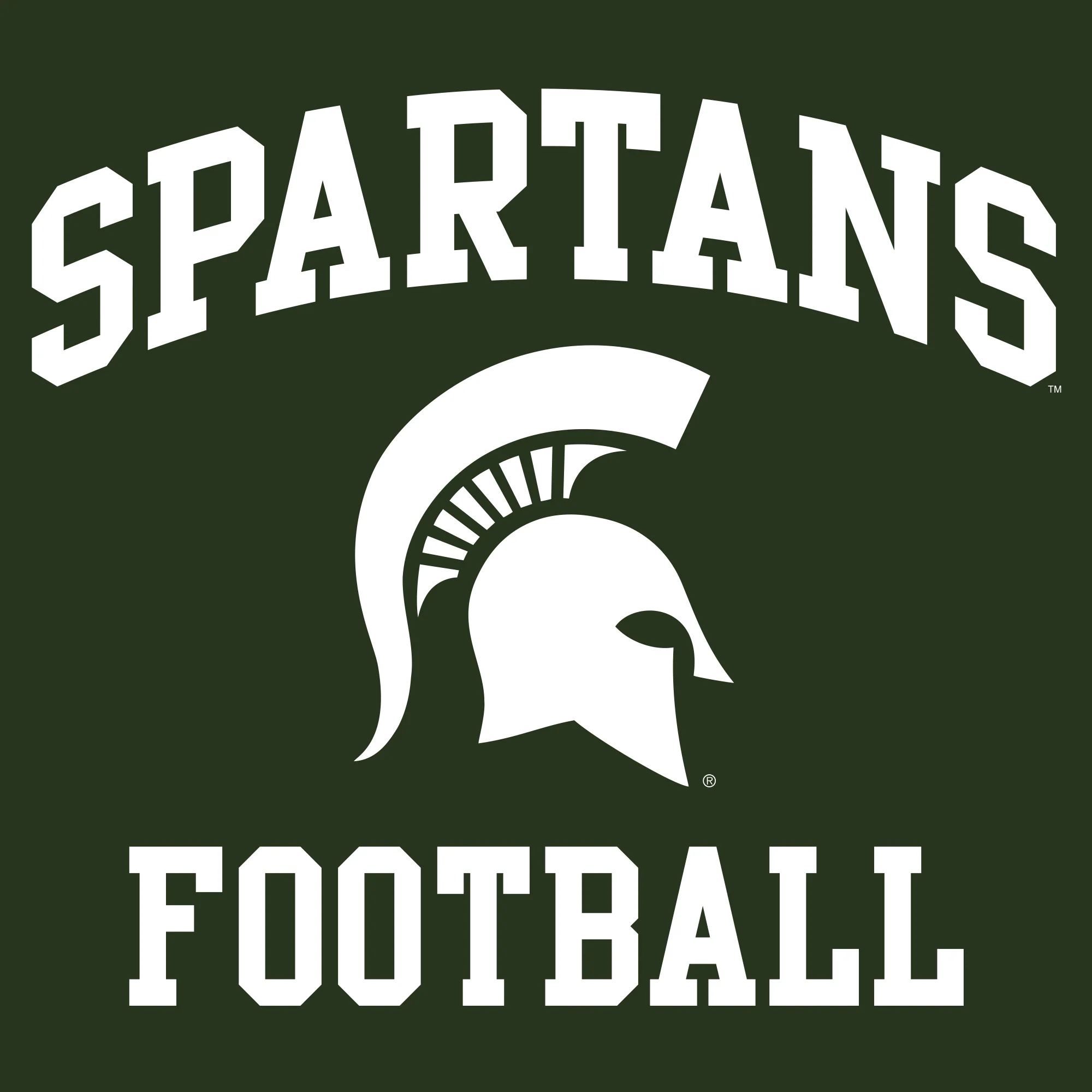 Michigan State University Spartans Arch Logo Football Hoodie - Forest - Image 2