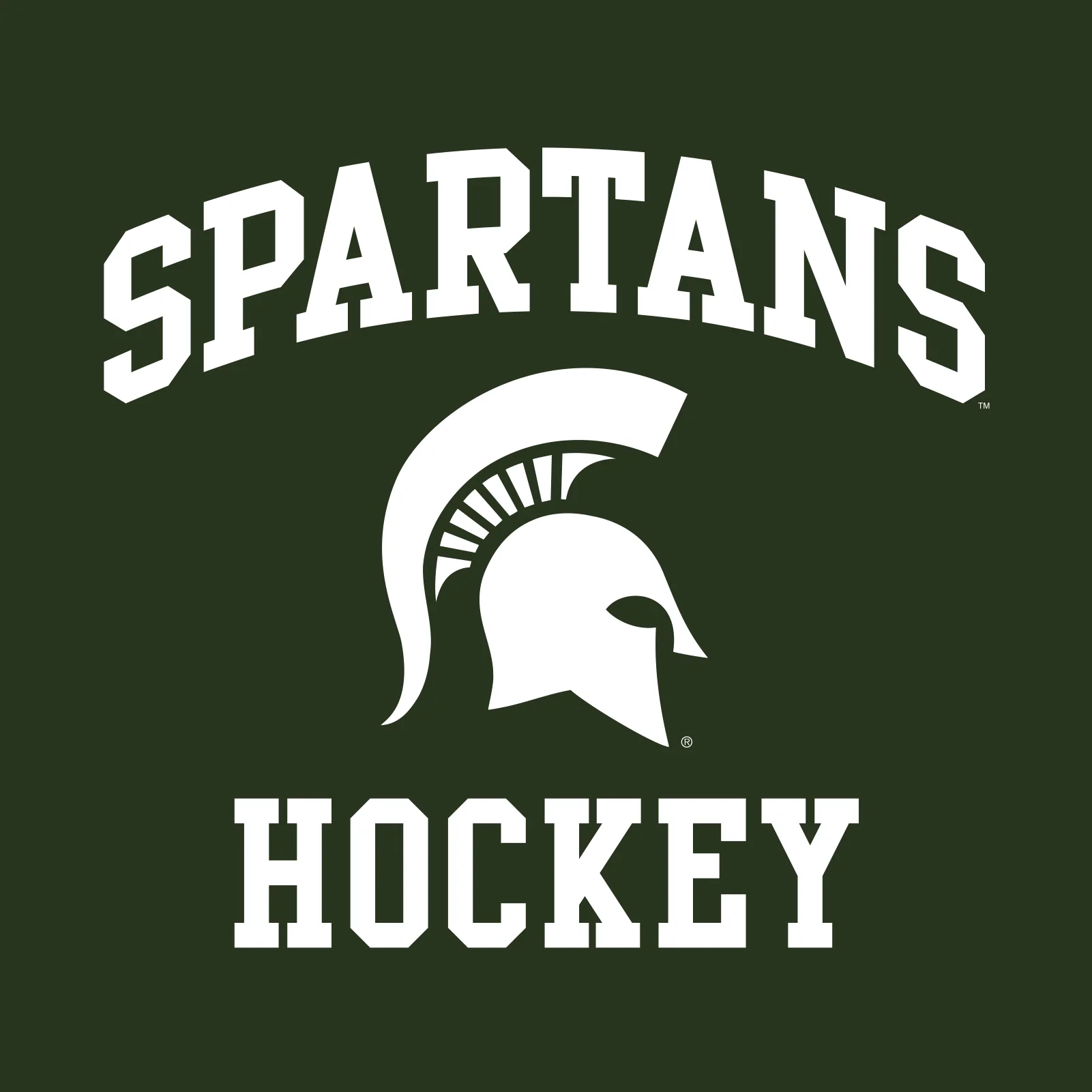 Michigan State University Spartans Arch Logo Hockey Hoodie - Forest - Image 2