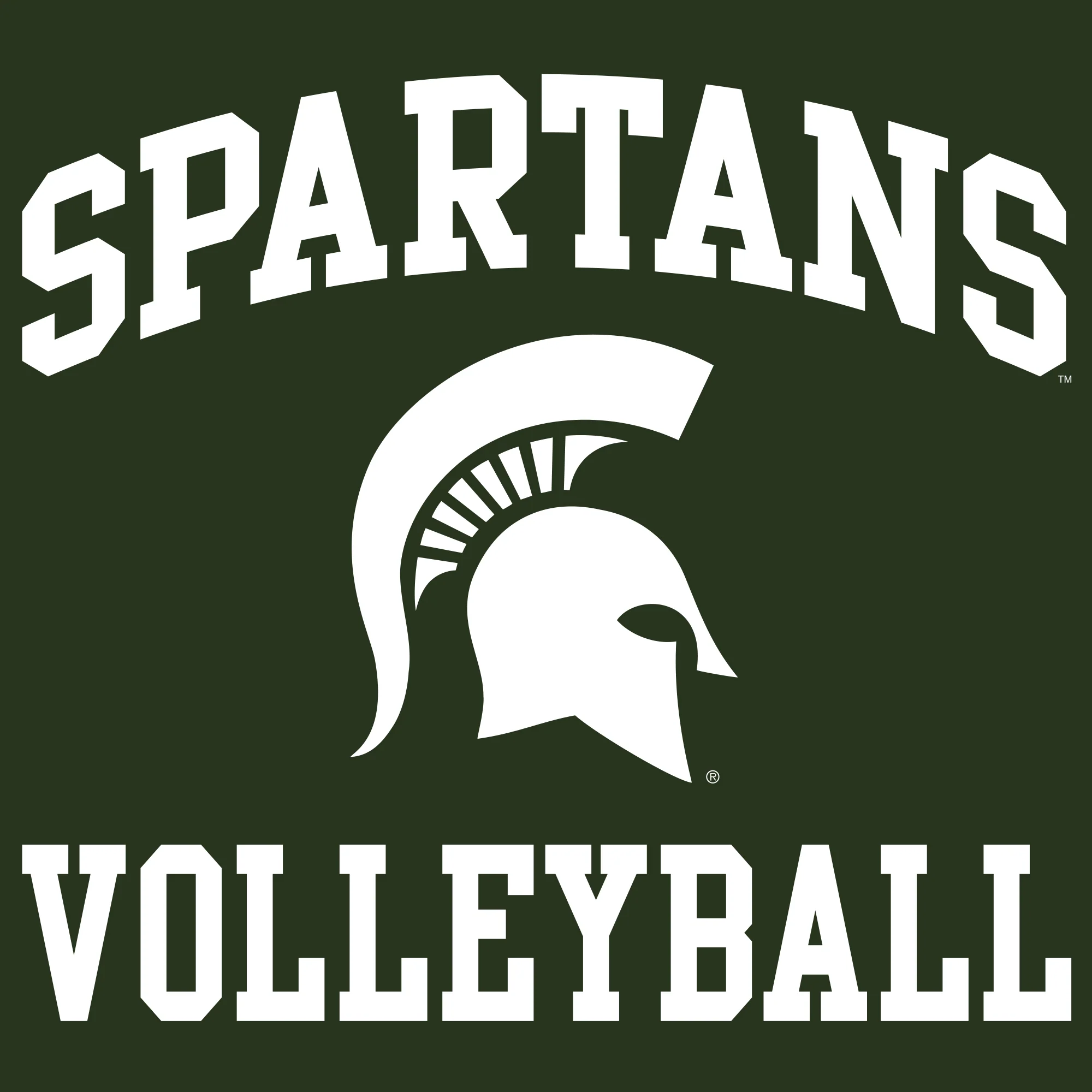 Michigan State University Spartans Arch Logo Volleyball Hoodie - Forest - Image 2