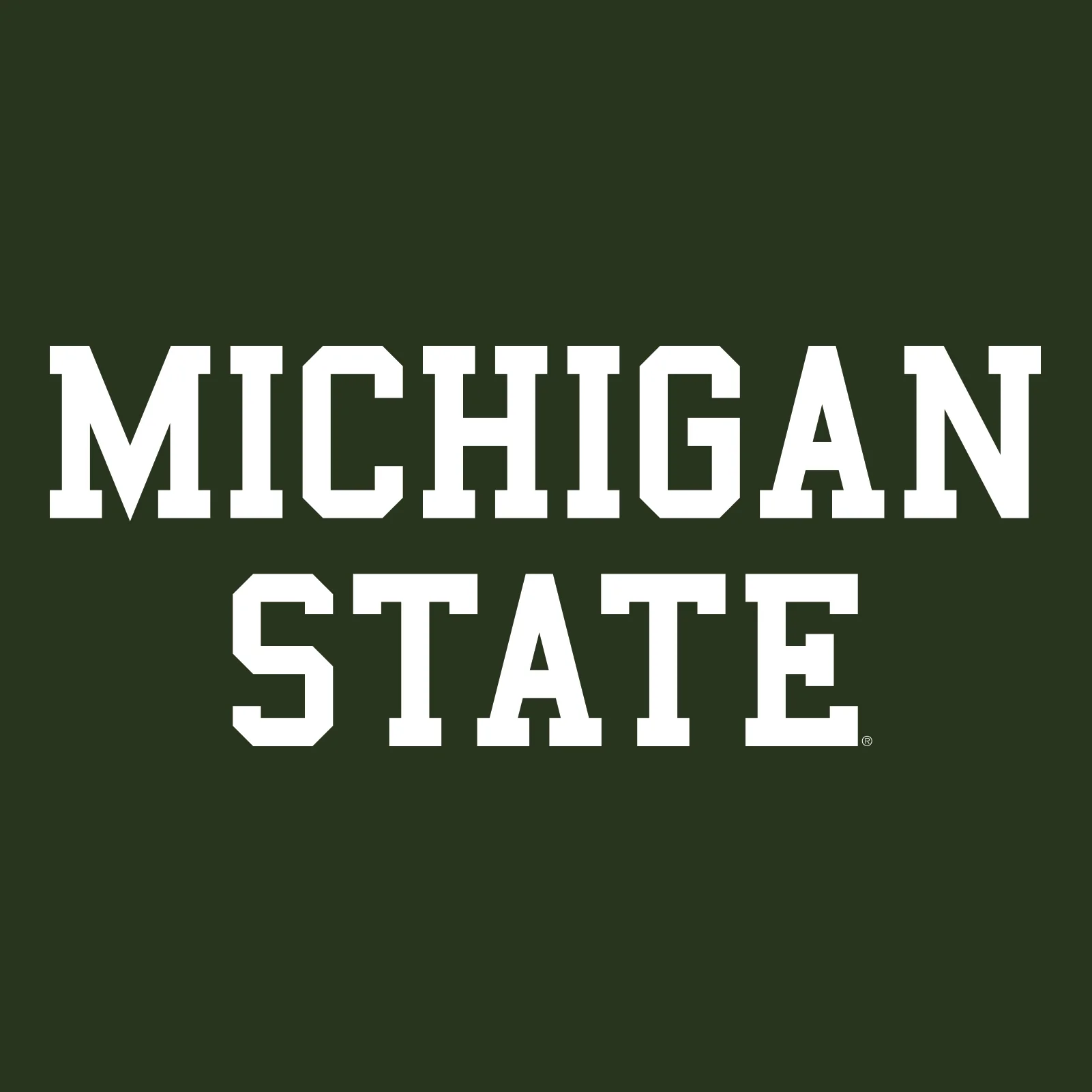 Michigan State University Spartans Basic Block Tank Top - Forest - Image 2