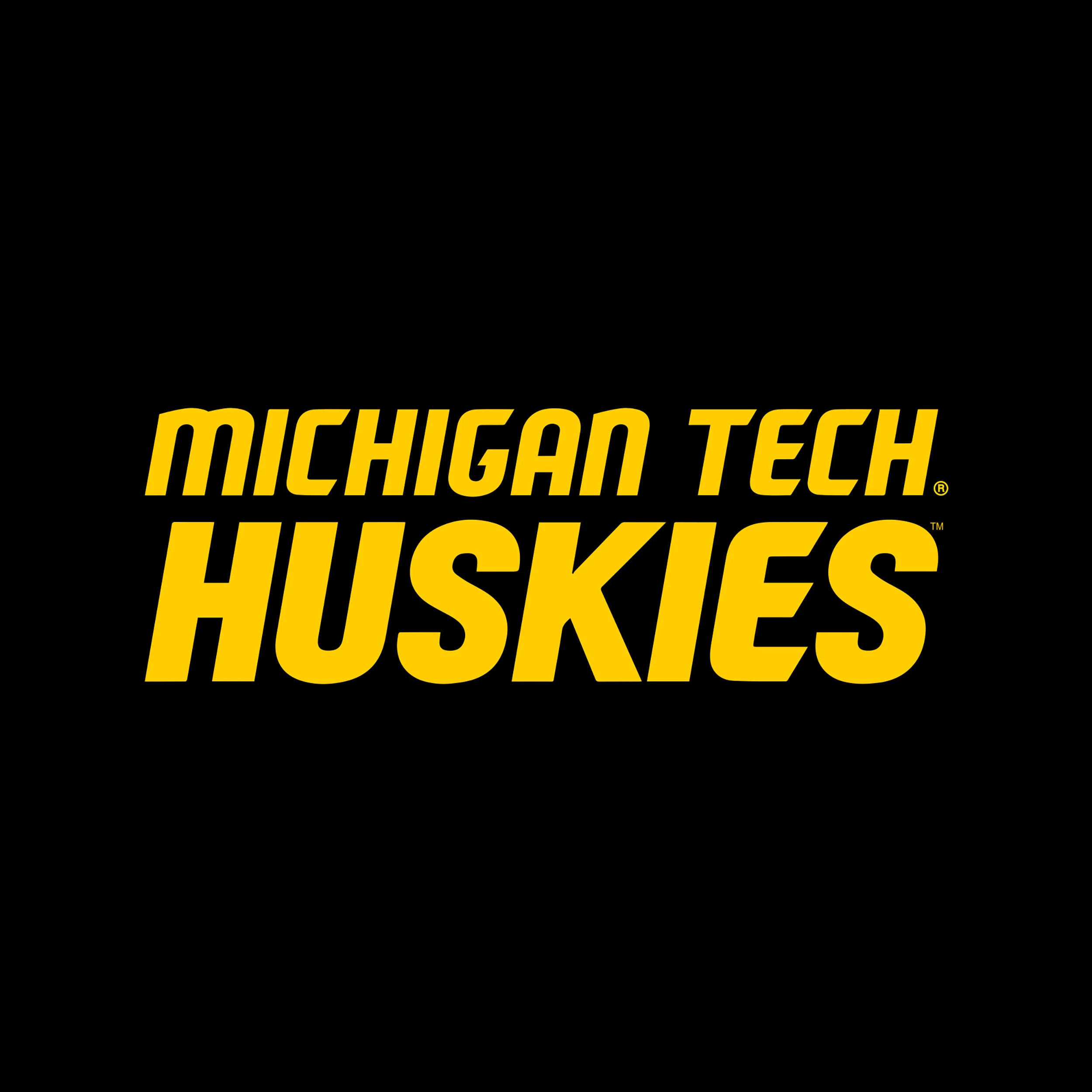 Michigan Tech Front Back Print Hoodie - Black - Image 2