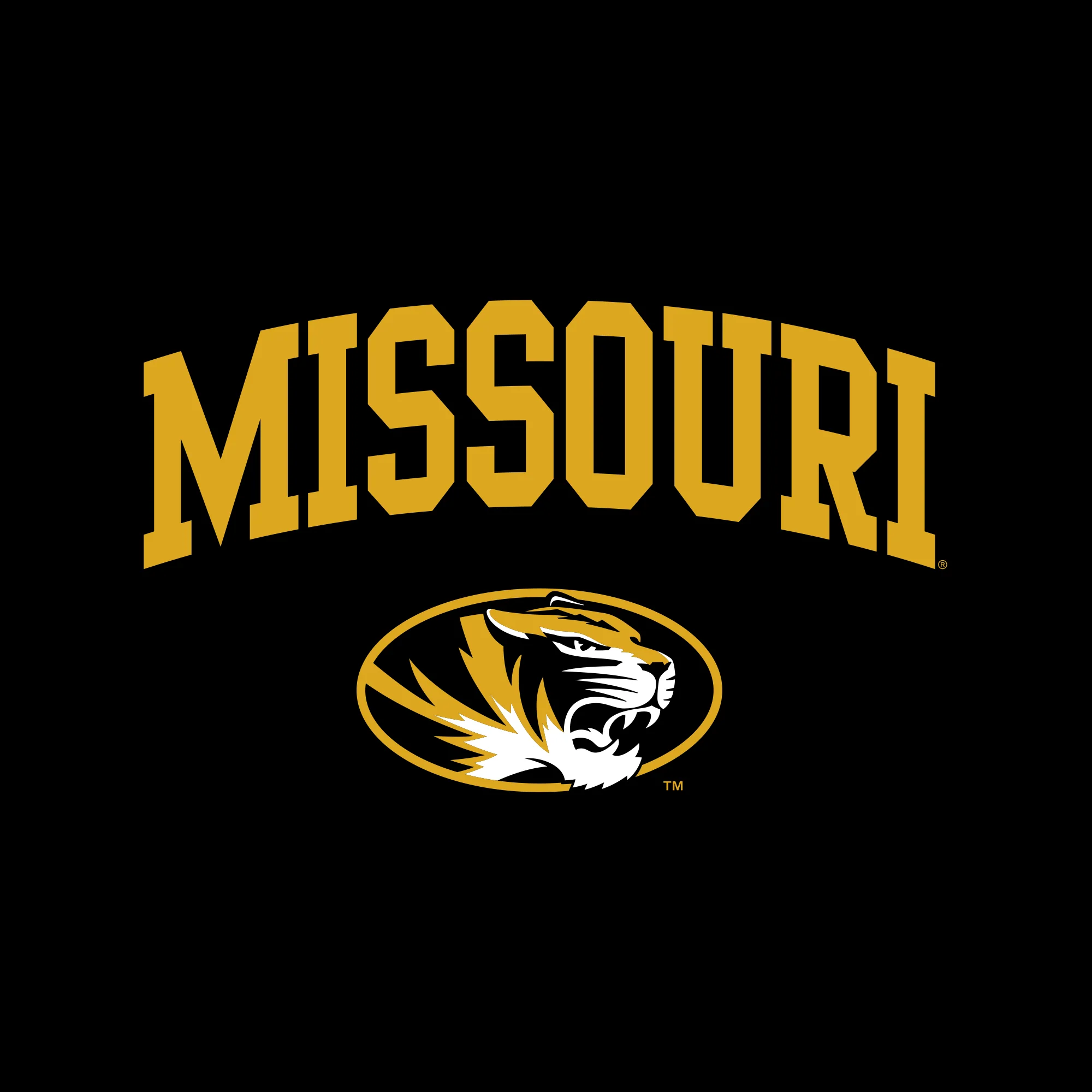 Missouri Tigers Arch Logo Hoodie - Image 3
