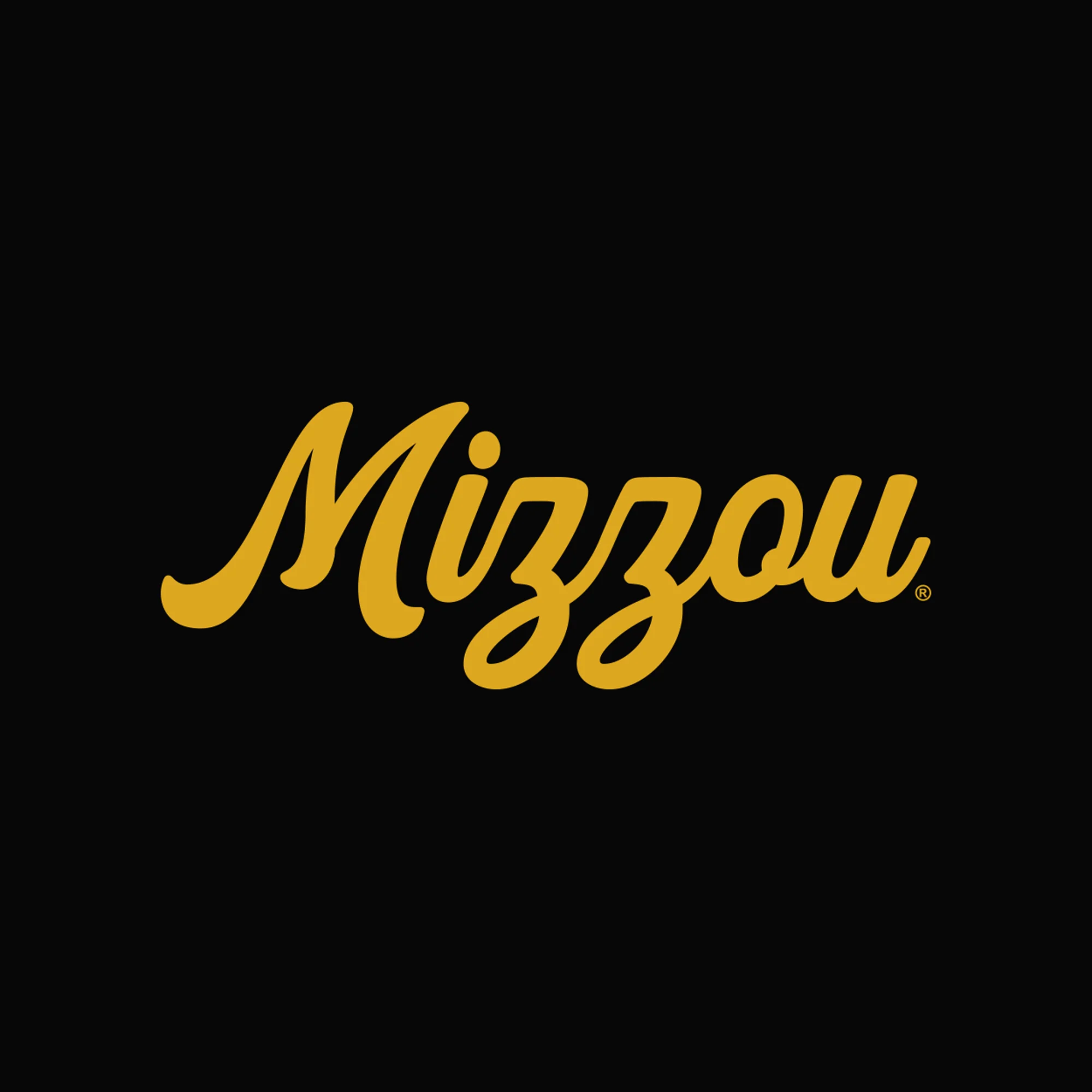 Missouri Tigers Script Logo AmApp Womens Fine Jersey Boxy Tee - Image 3