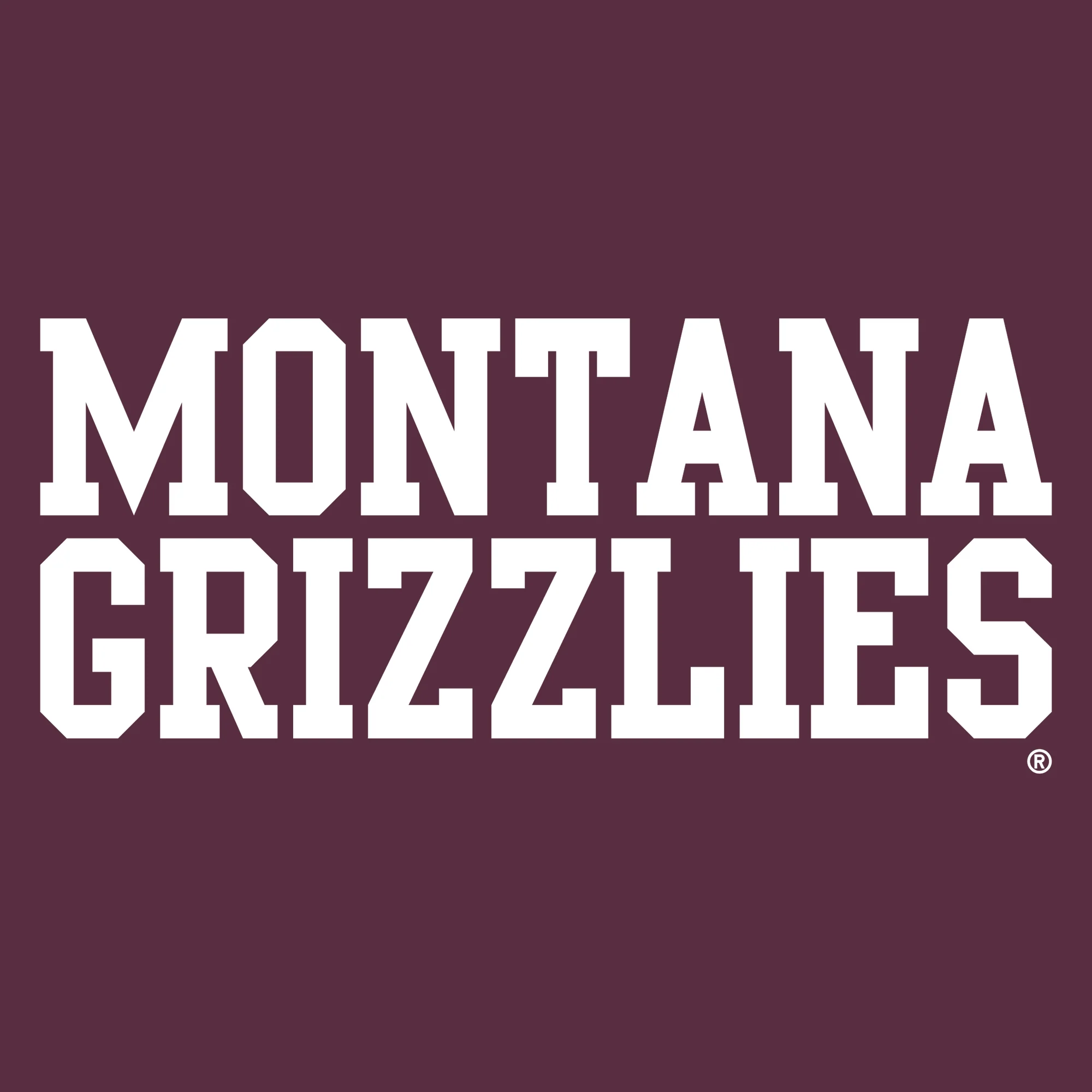 Montana Grizzlies Basic Block Long Sleeve T-Shirt - Maroon - Image 2