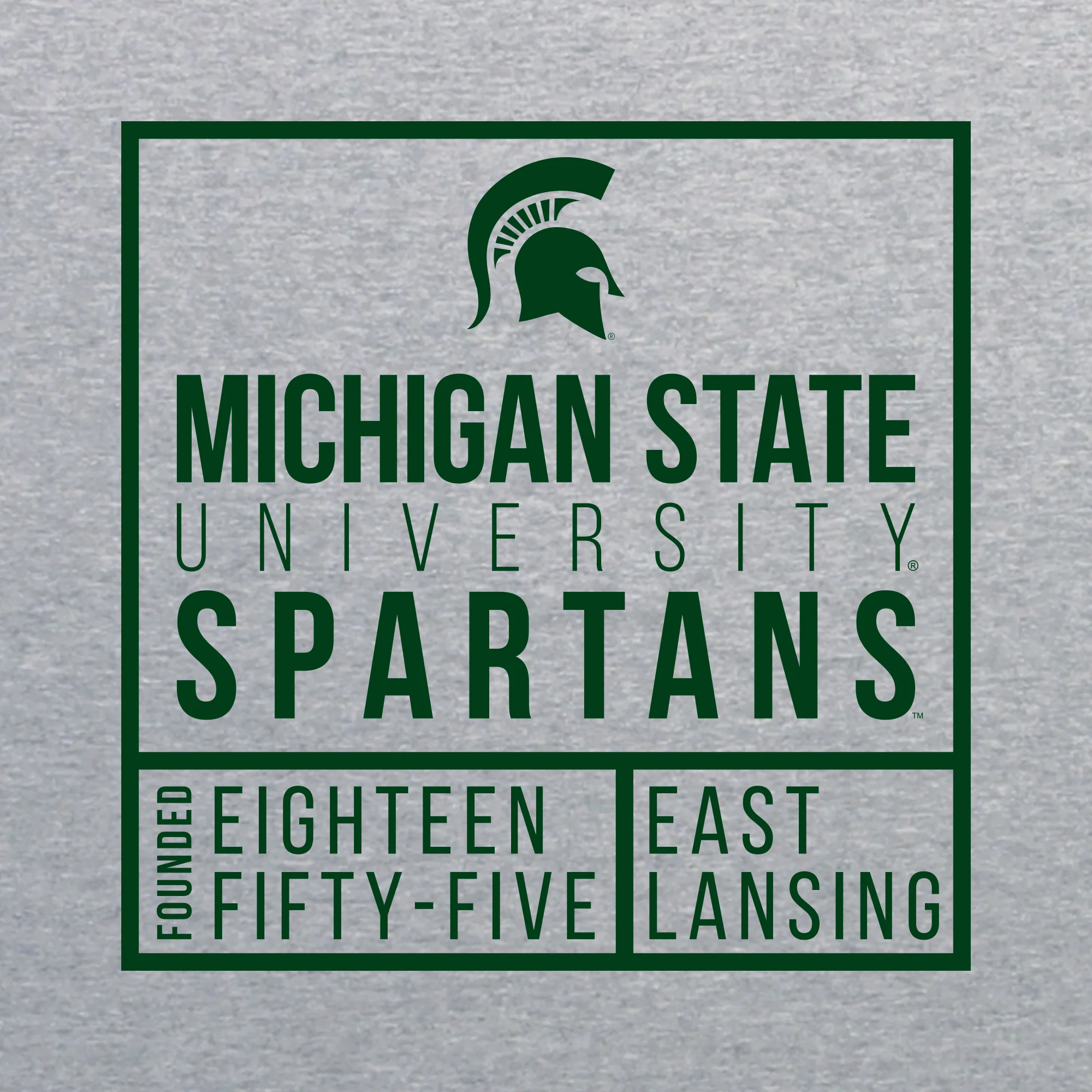 MSU Box Label T Shirt - Sport Grey - Image 2