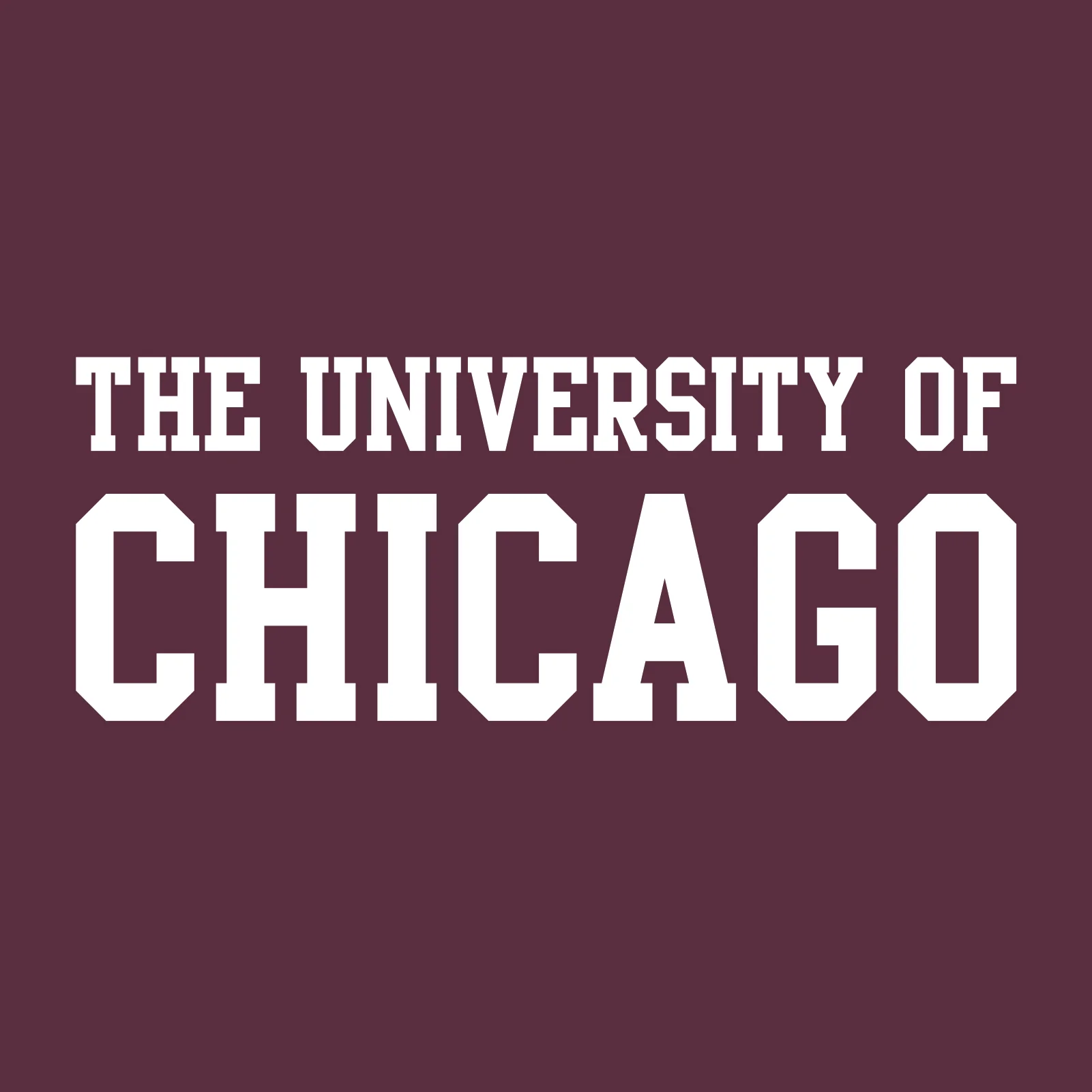 University of Chicago Maroons Basic Block Heavy Blend Hoodie - Maroon - Image 2