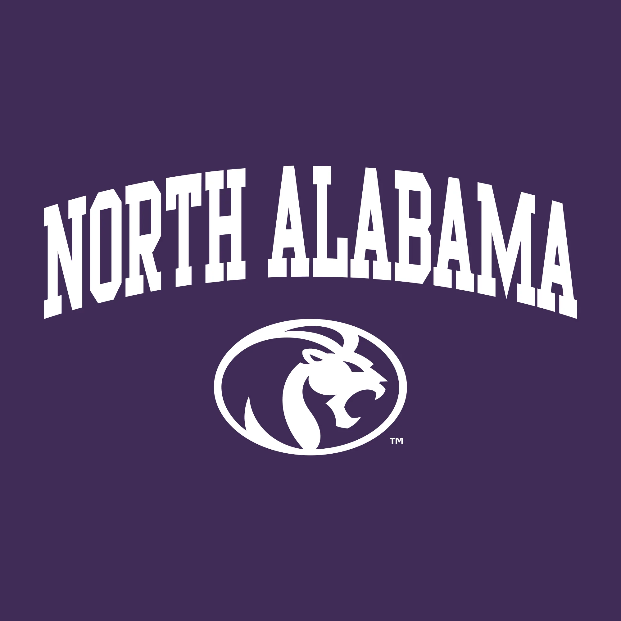 North Alabama Arch Logo Hoodie - Purple - Image 2