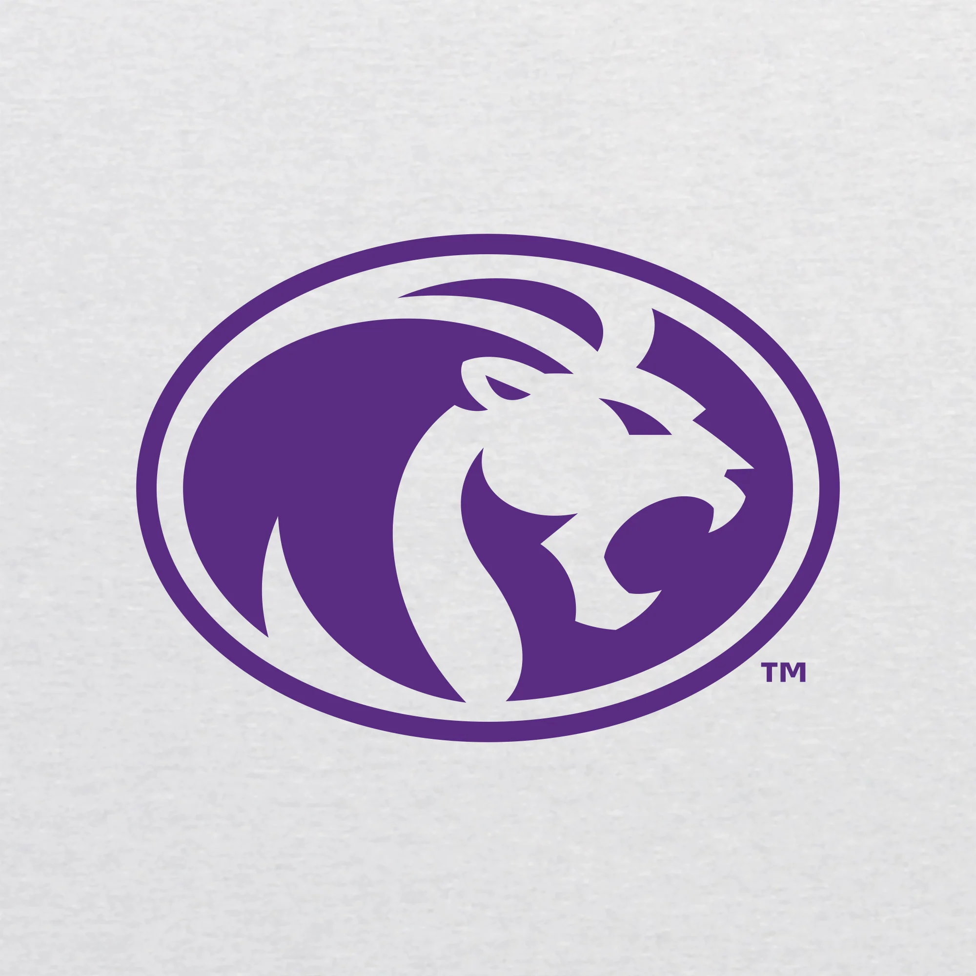 North Alabama Primary Logo Triblend T-Shirt - Heather White - Image 2