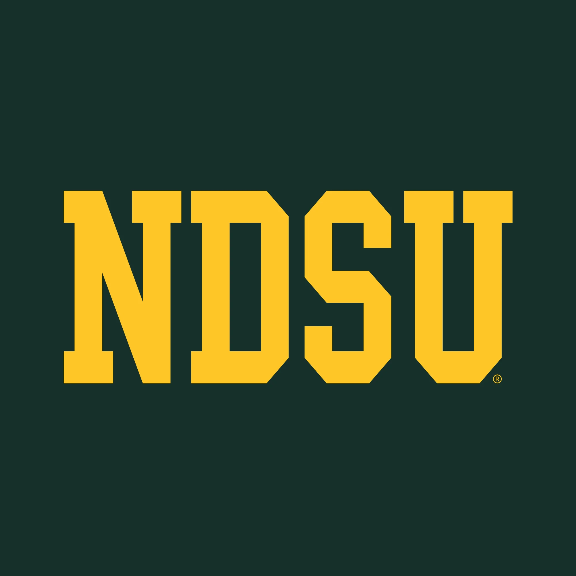 North Dakota State University Bison Basic Block Long Sleeve T Shirt - Forest - Image 2