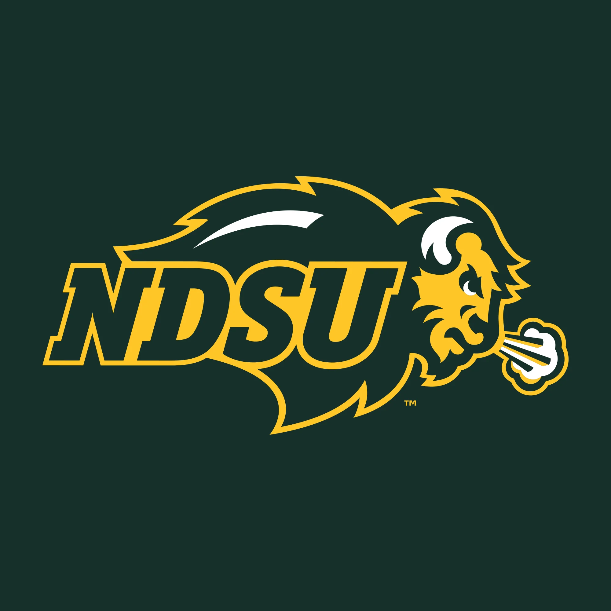 North Dakota State University Bison Primary Logo Short Sleeve Women's T Shirt - Forest - Image 2