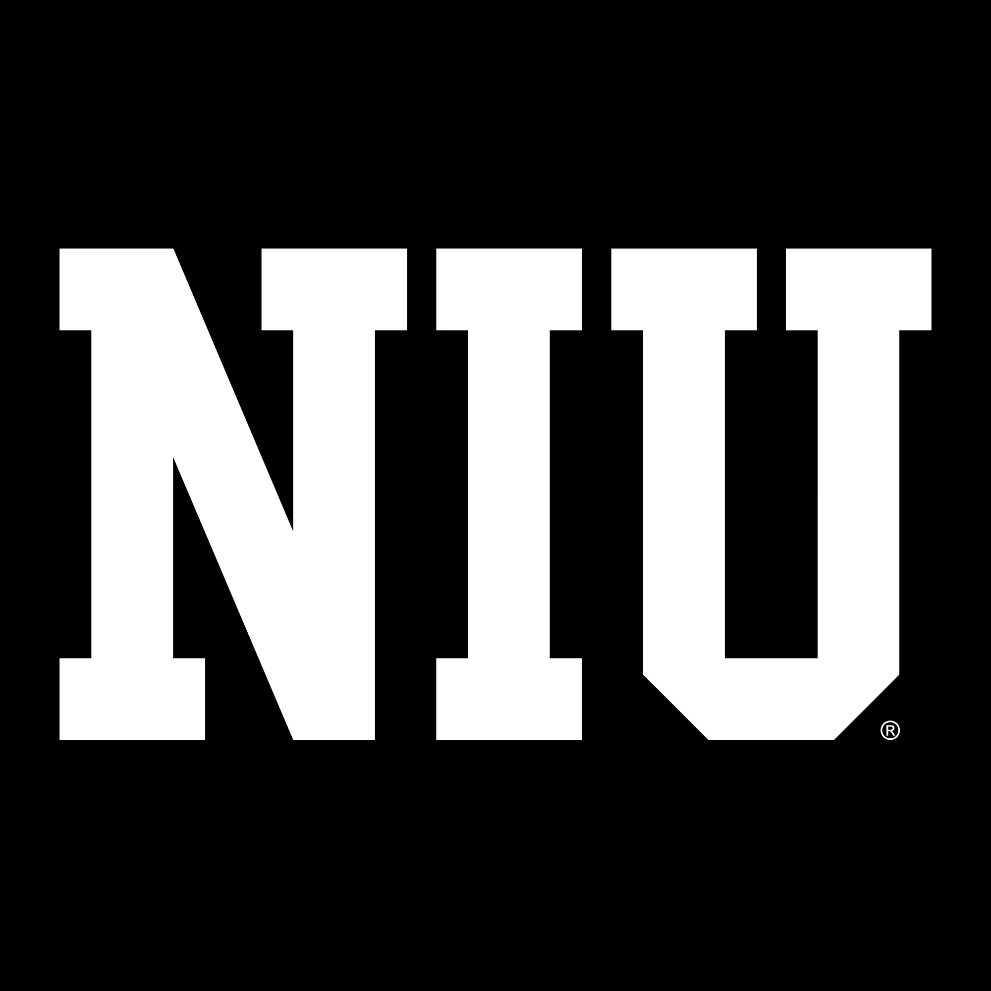 Northern Illinois Basic Block Women's T-Shirt - Black - Image 2