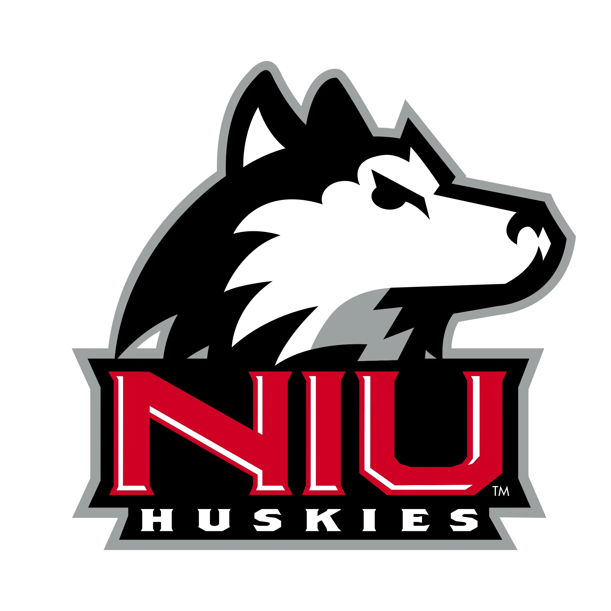 Northern Illinois Primary Logo Long Sleeve - White - Image 2