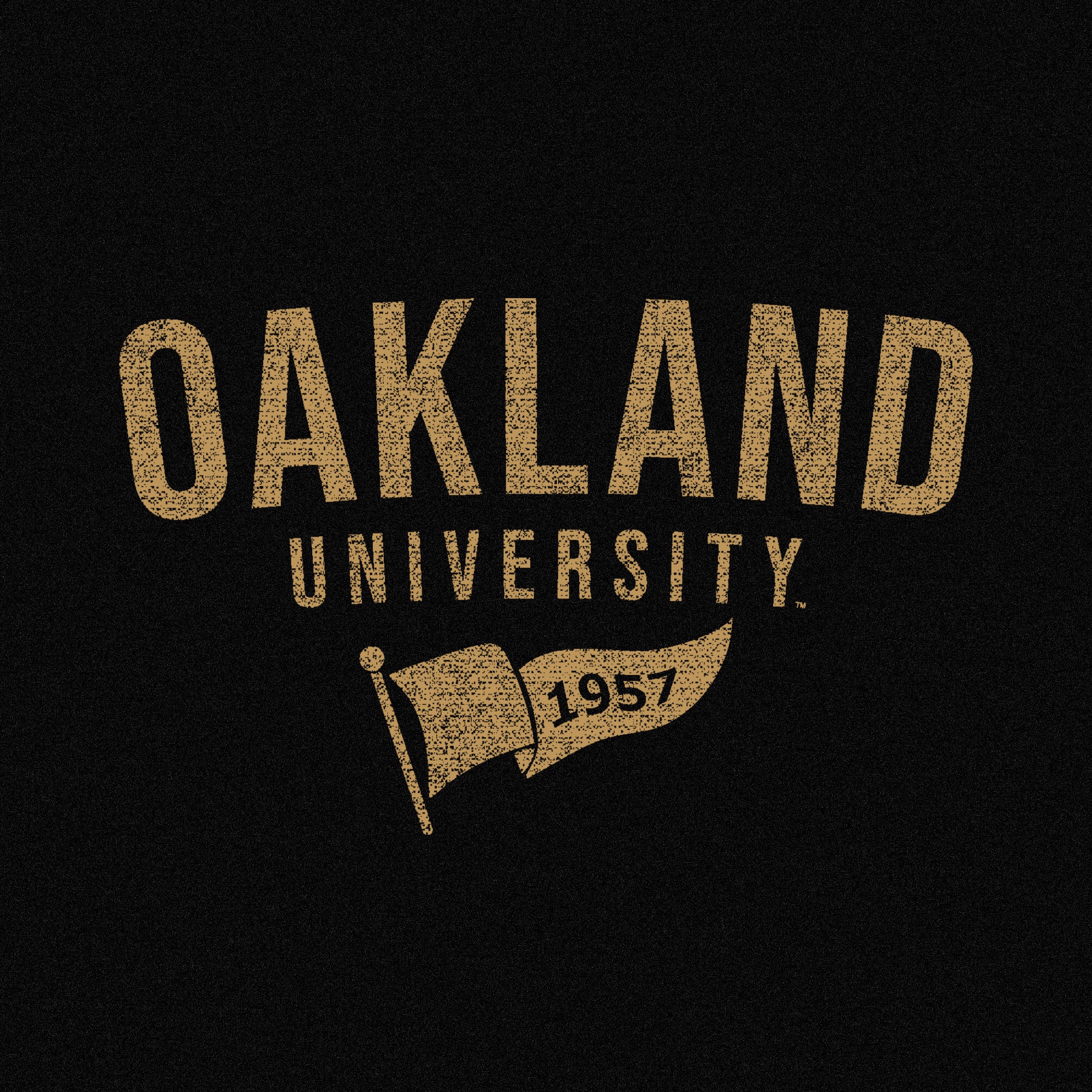 Oakland University Distressed Year Banner Canvas Triblend T-Shirt - Solid Black - Image 2