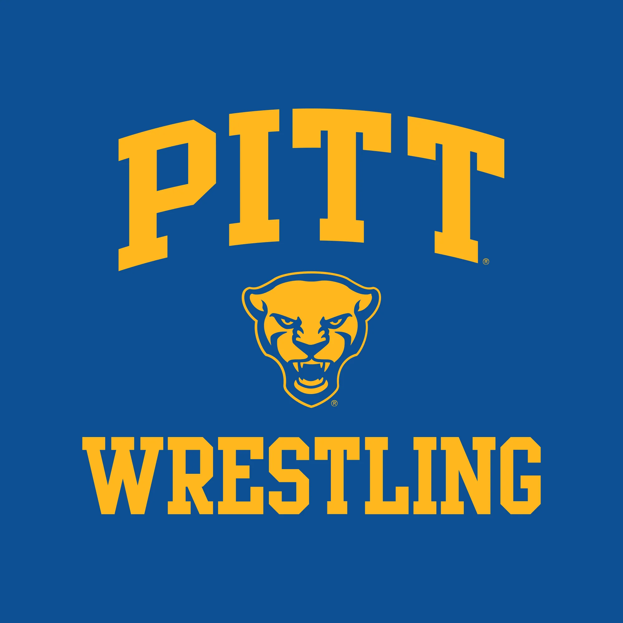 Pittsburgh Arch Logo Wrestling Hoodie - Royal - Image 2