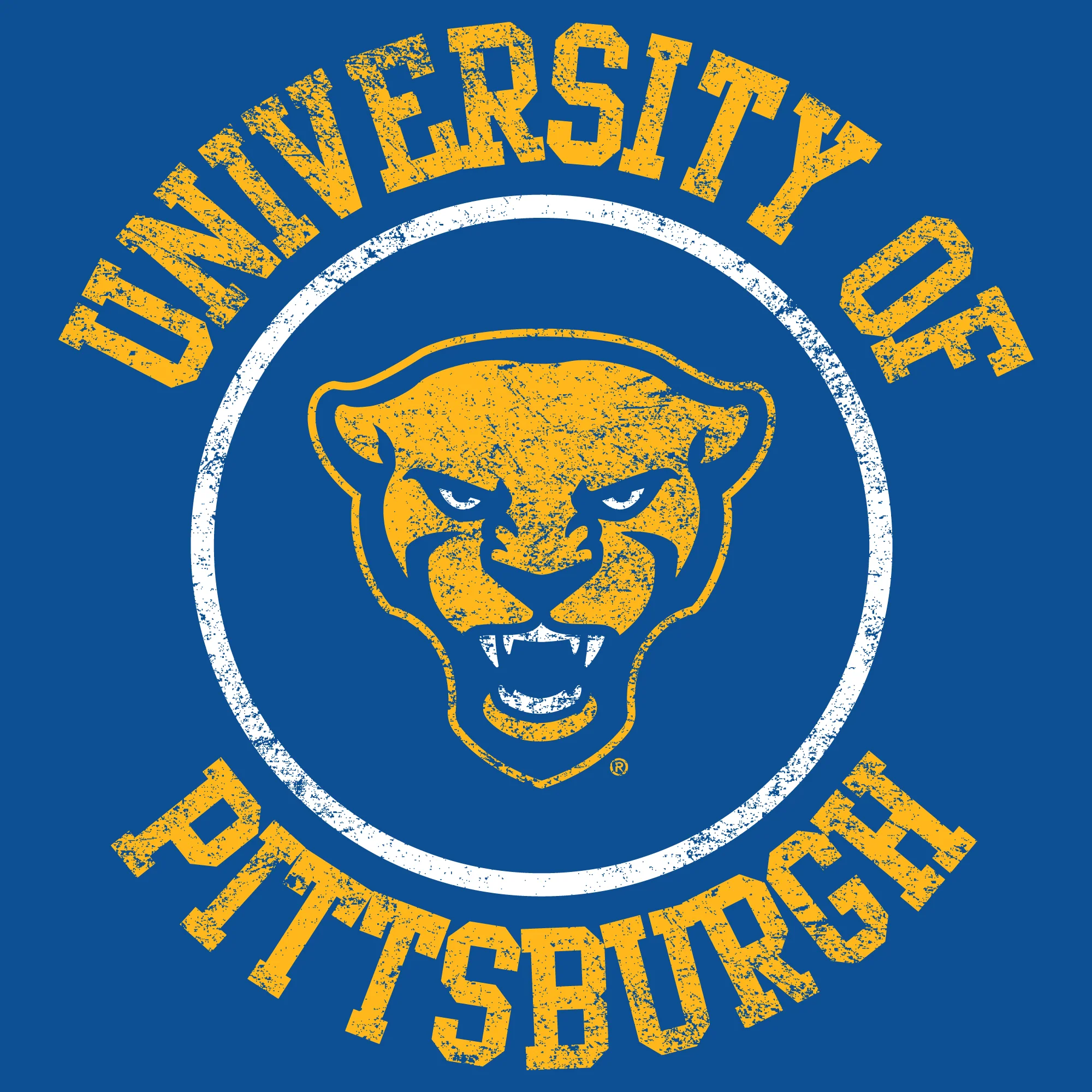 Pittsburgh Panthers Distressed Circle Logo T-Shirt - Royal - Image 2