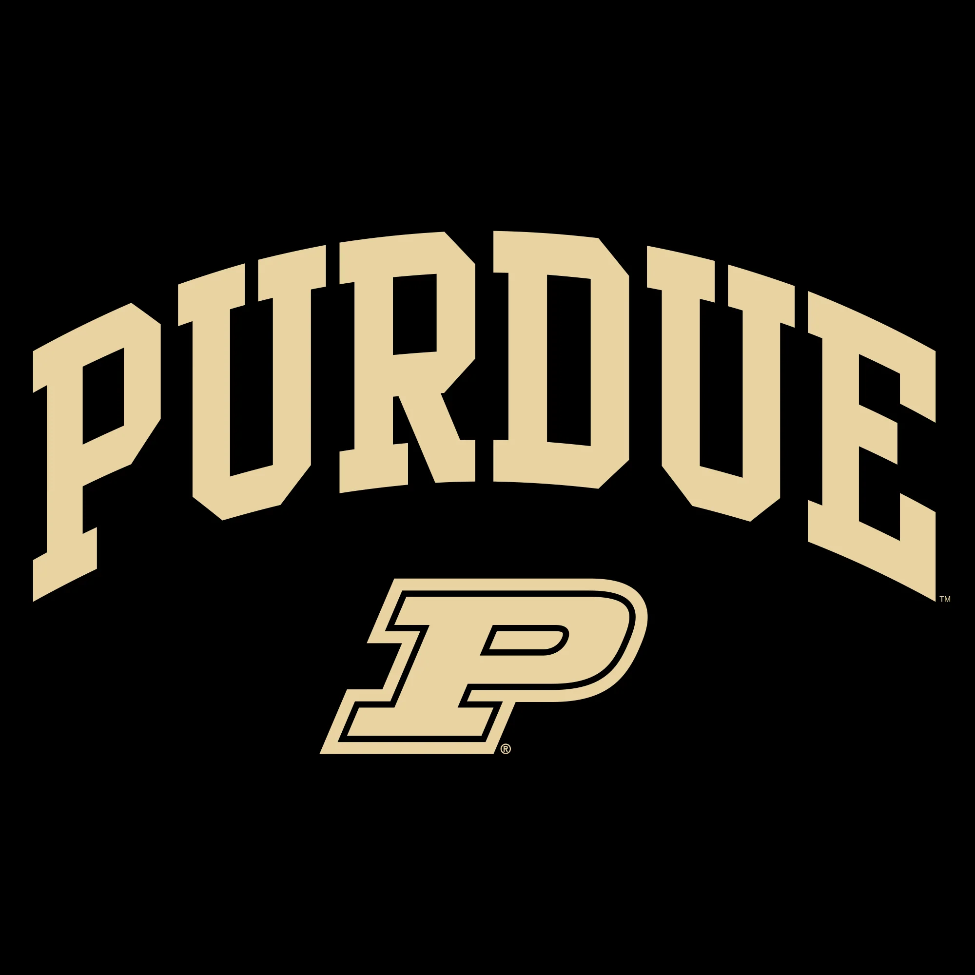 Purdue Boilermakers Arch Logo Hoodie - Black - Image 2