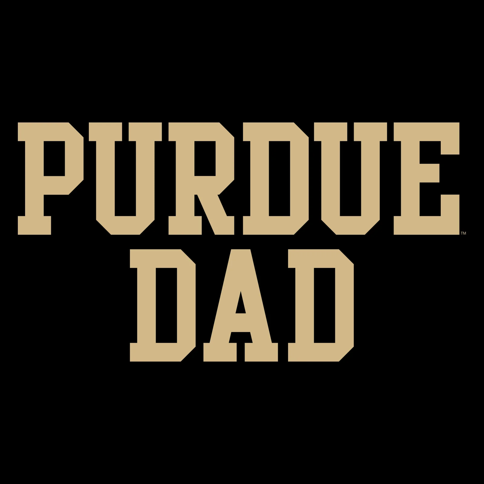 Purdue Boilermakers Basic Block Dad Crewneck Sweatshirt - Black - Image 2