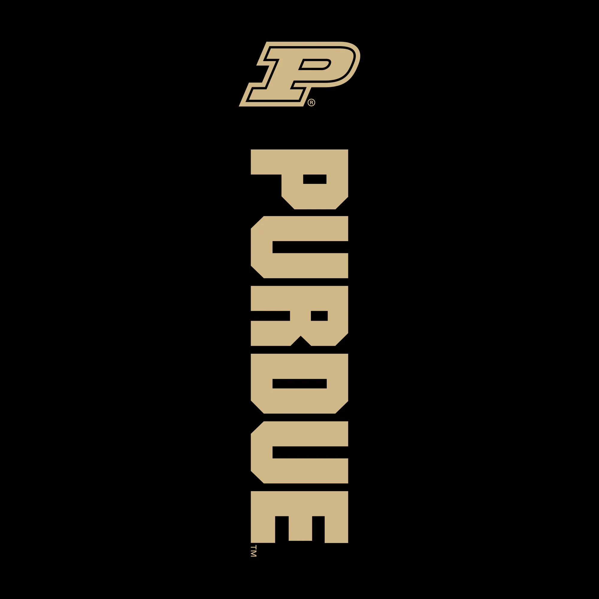 Purdue Logo Block JA BTB Sweatpants - Image 3
